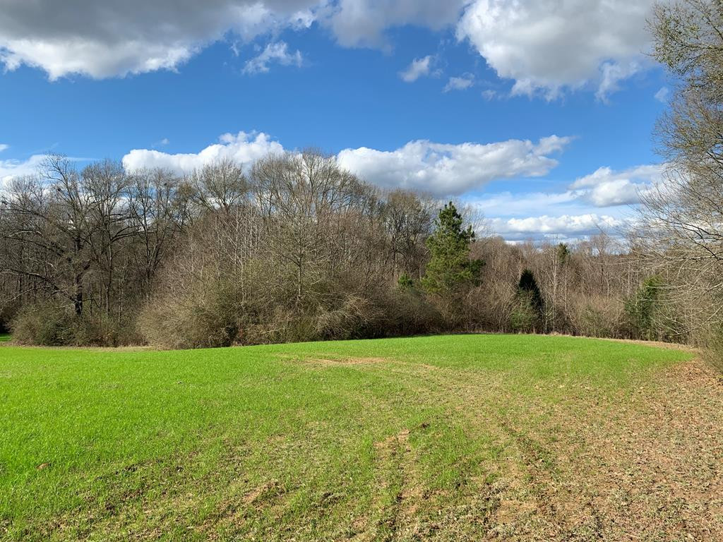3300 Pepper House Road Gloster, MS 39638 - Photo 28 of 42 Photo 28