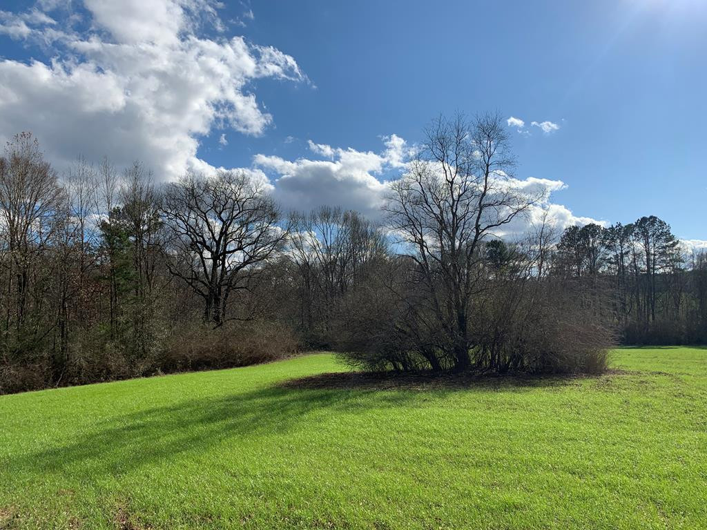 3300 Pepper House Road Gloster, MS 39638 - Photo 35 of 42 Photo 35