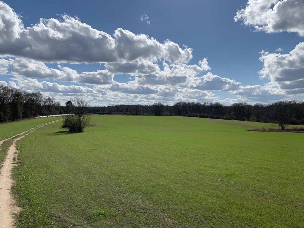 3300 Pepper House Road Gloster, MS 39638 - Photo 6 of 42 Photo 6