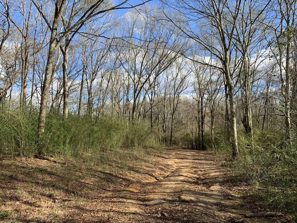 3300 Pepper House Road Gloster, MS 39638 - Photo 7 of 42 Photo 7