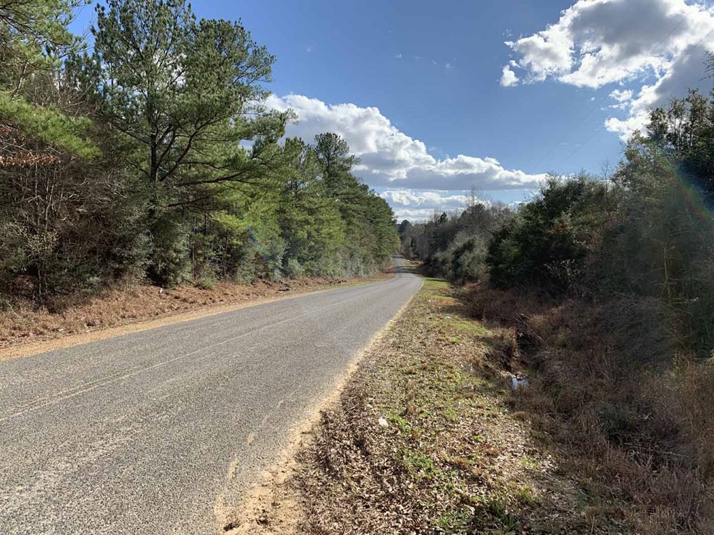 3300 Pepper House Road Gloster, MS 39638 - Photo 10 of 42 Photo 10