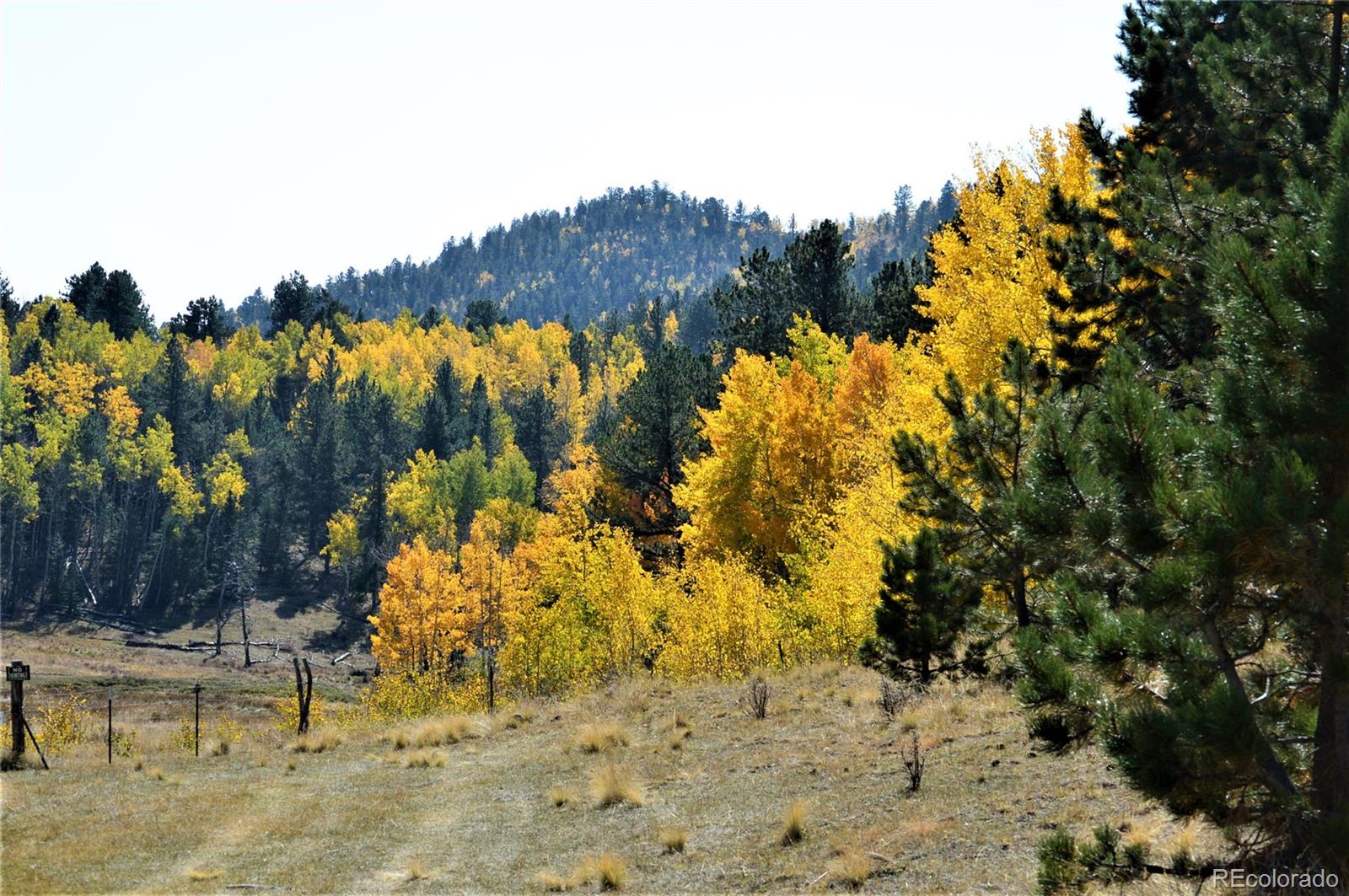 86 County Road Victor, CO 80860 - Photo 11 of 14