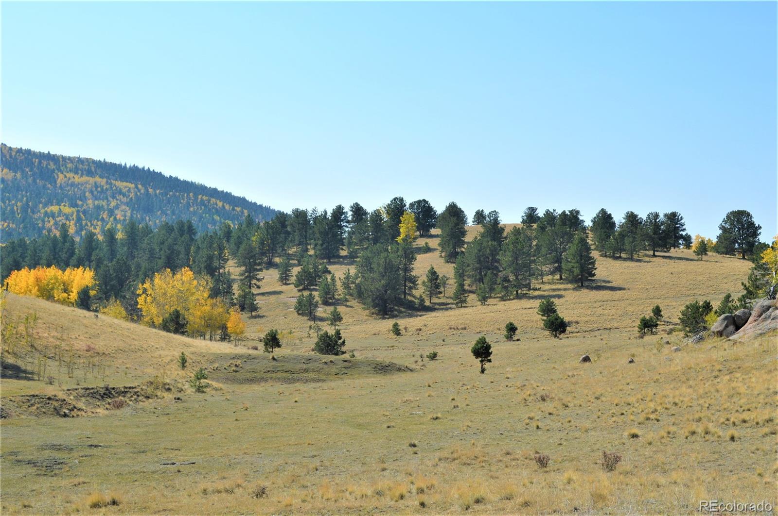 86 County Road Victor, CO 80860 - Photo 2 of 14
