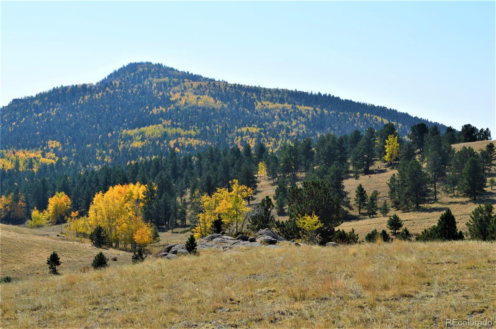 86 County Road Victor, CO 80860 - Photo 3 of 14