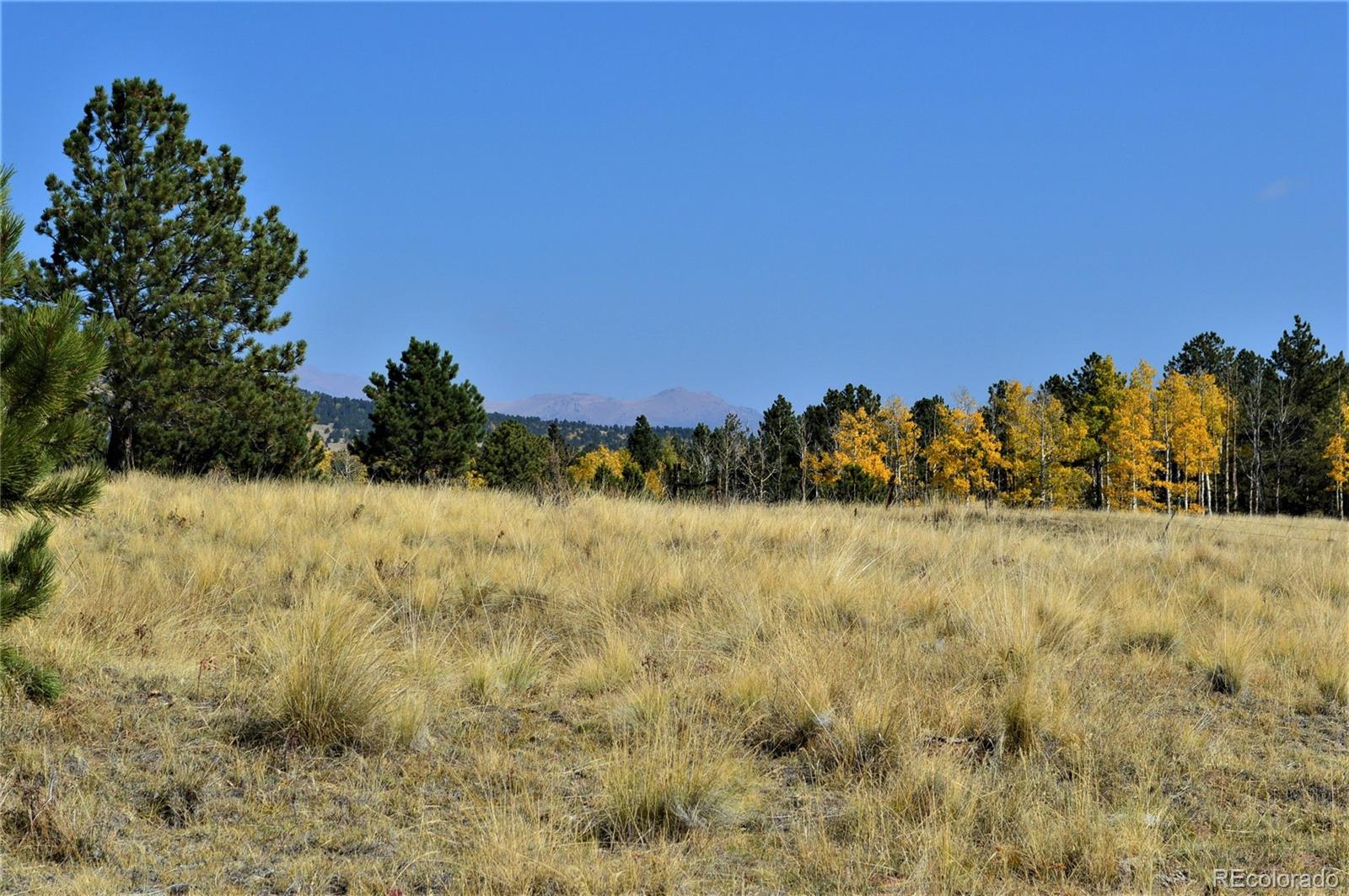 86 County Road Victor, CO 80860 - Photo 4 of 14