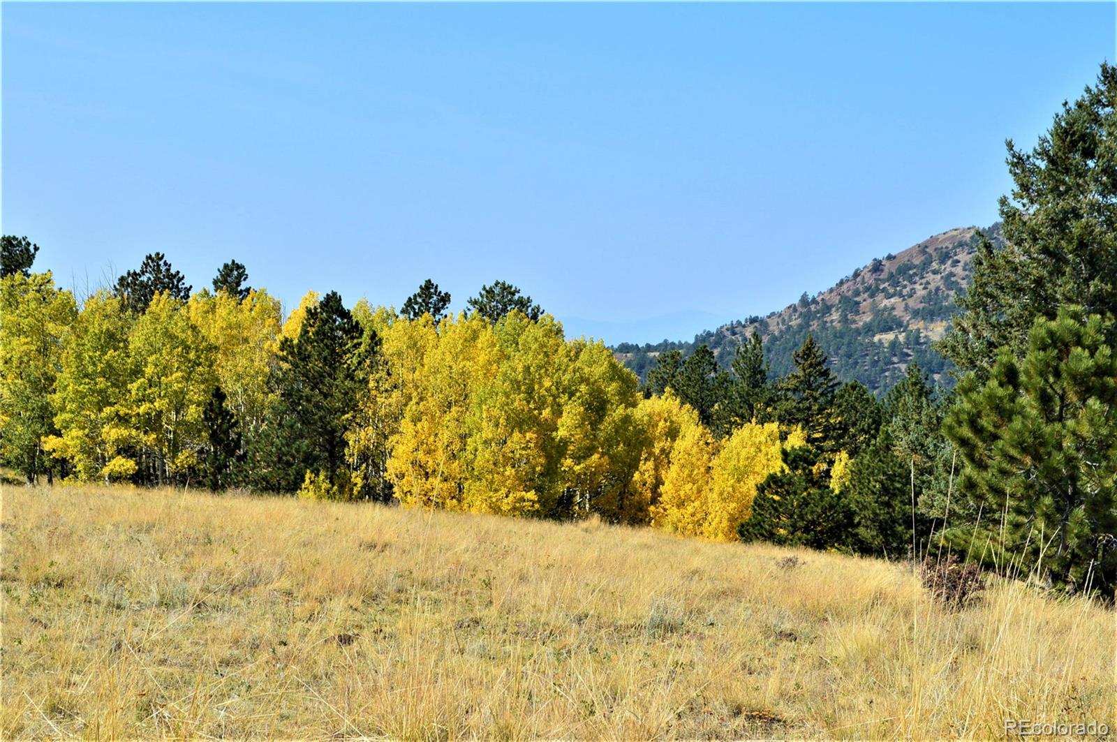 86 County Road Victor, CO 80860 - Photo 5 of 14
