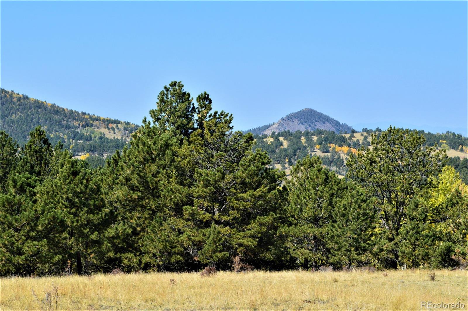 86 County Road Victor, CO 80860 - Photo 6 of 14