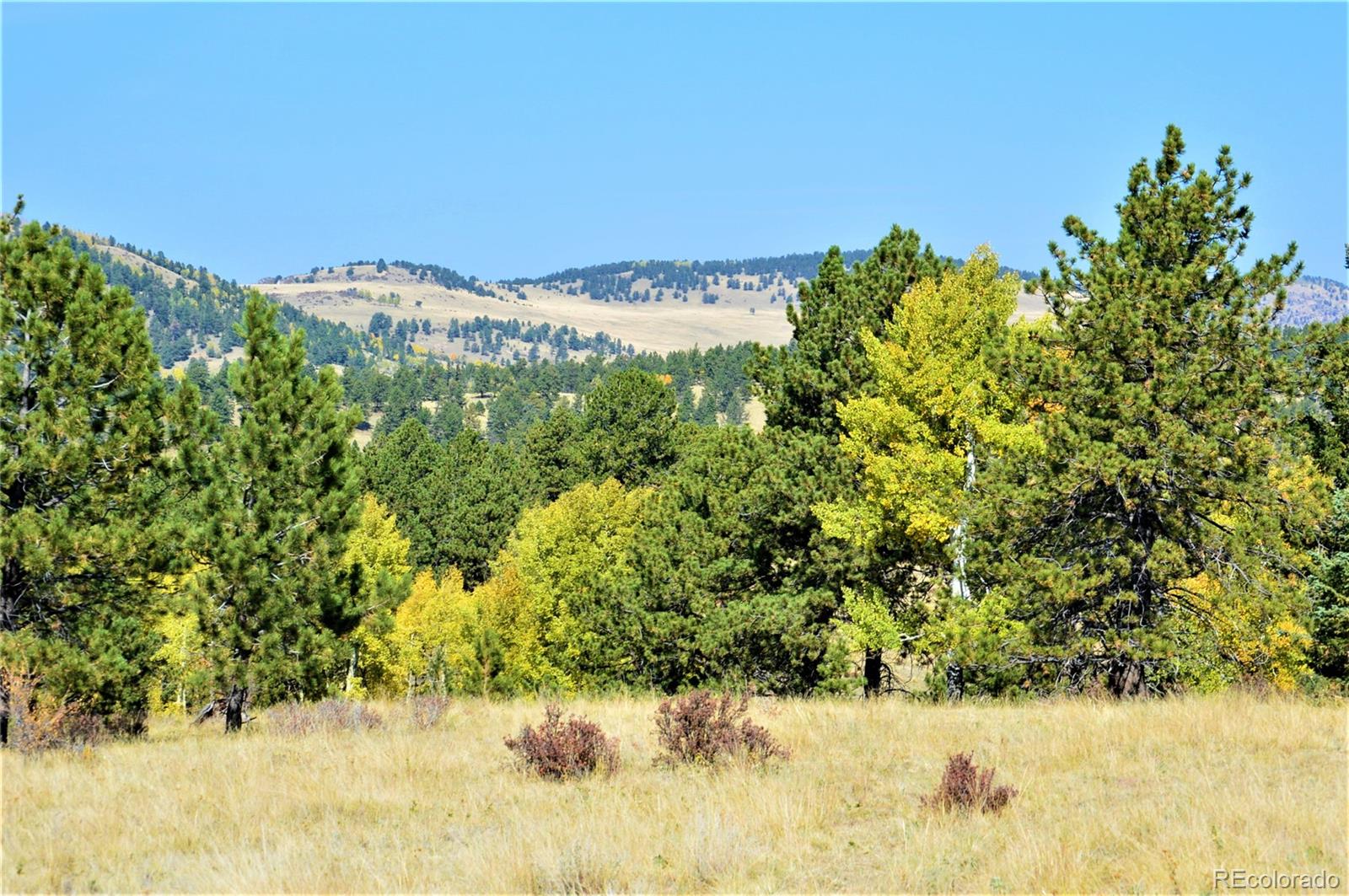 86 County Road Victor, CO 80860 - Photo 7 of 14
