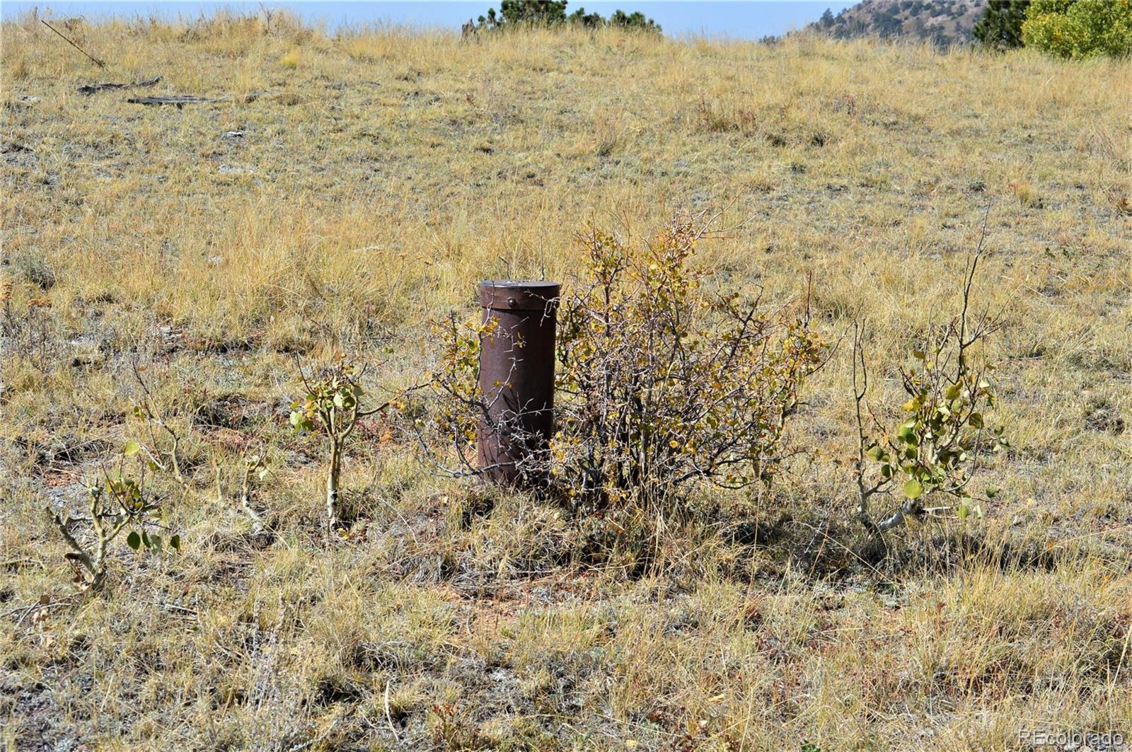 86 County Road Victor, CO 80860 - Photo 8 of 14