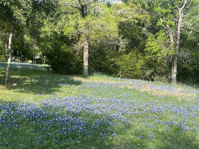10019 Ridgeway Whitney, TX 76692 - Photo 8 of 36