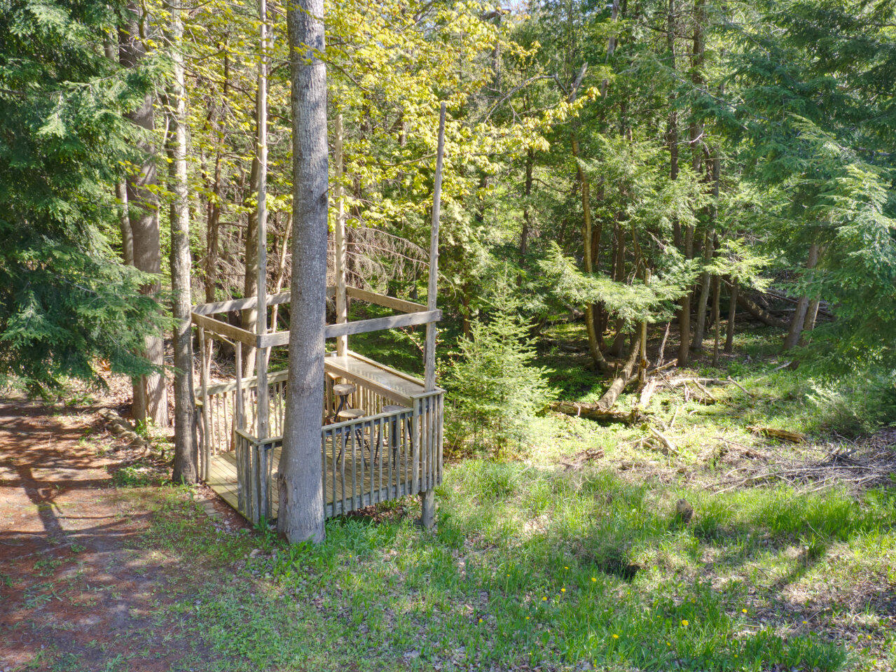 5450 Swamp Road Frankfort, MI 49635 - Photo 11 of 68 3
