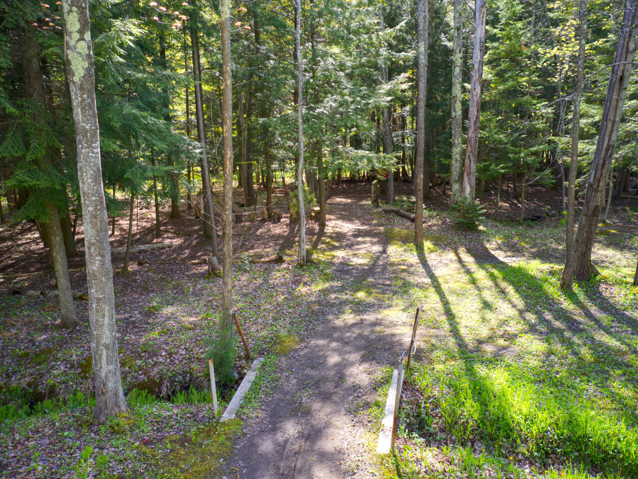 5450 Swamp Road Frankfort, MI 49635 - Photo 12 of 68 4