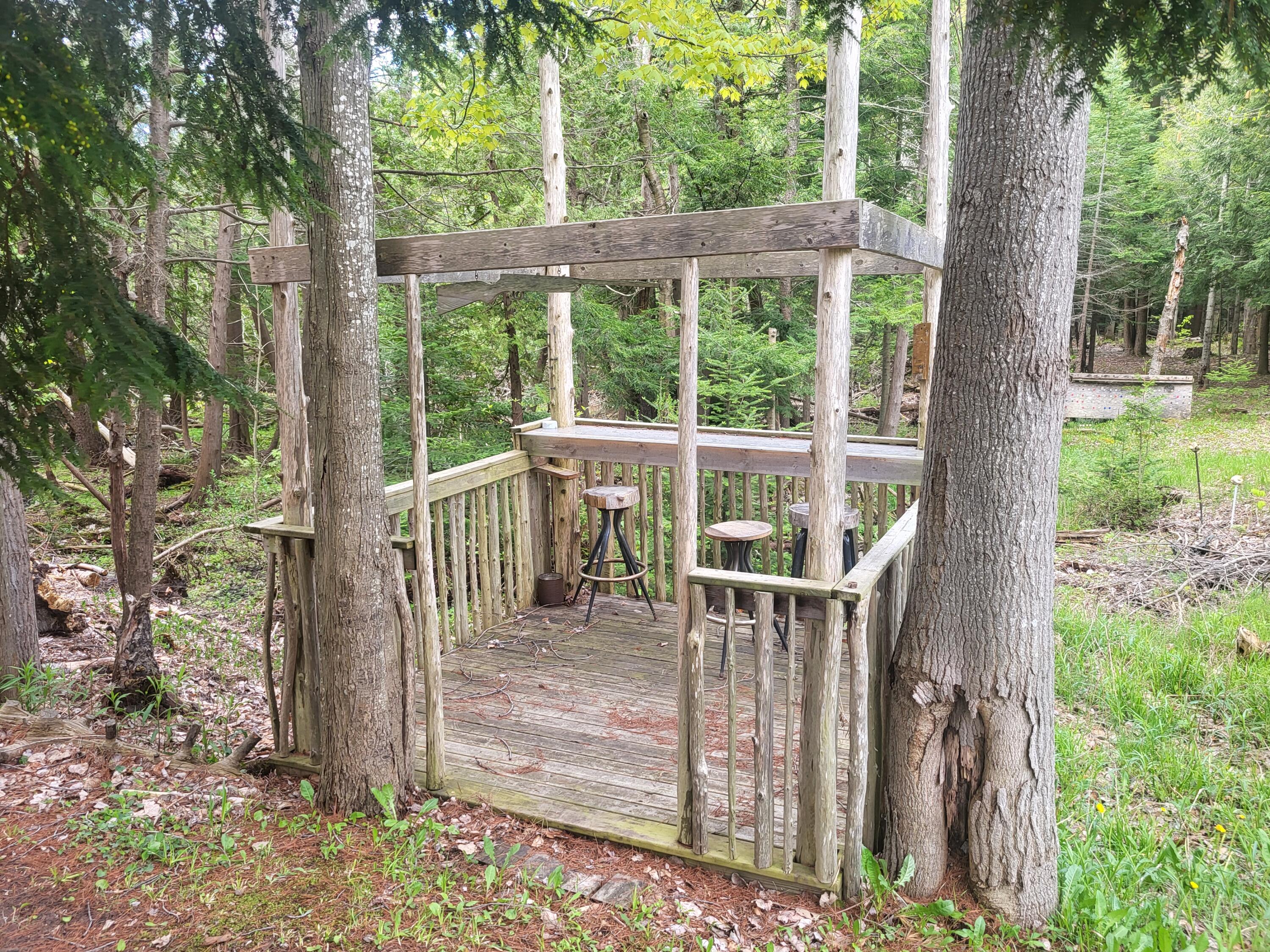 5450 Swamp Road Frankfort, MI 49635 - Photo 27 of 68 20240512_103453