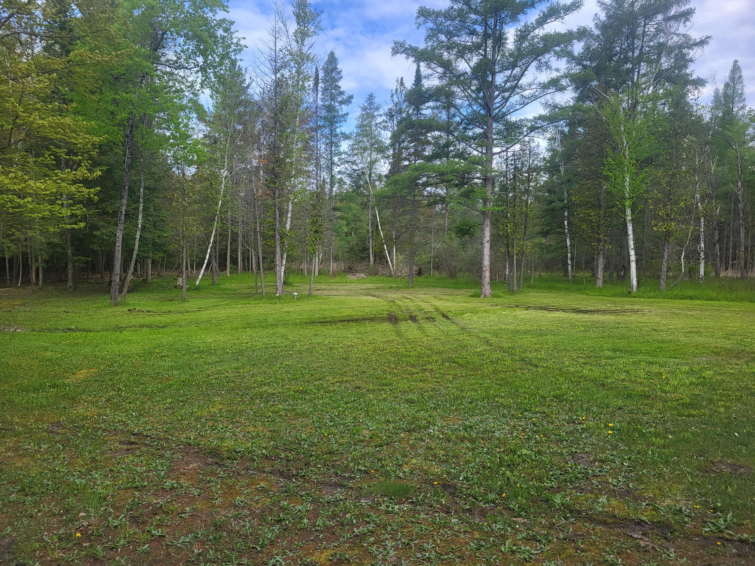 5450 Swamp Road Frankfort, MI 49635 - Photo 34 of 68 20240512_103435