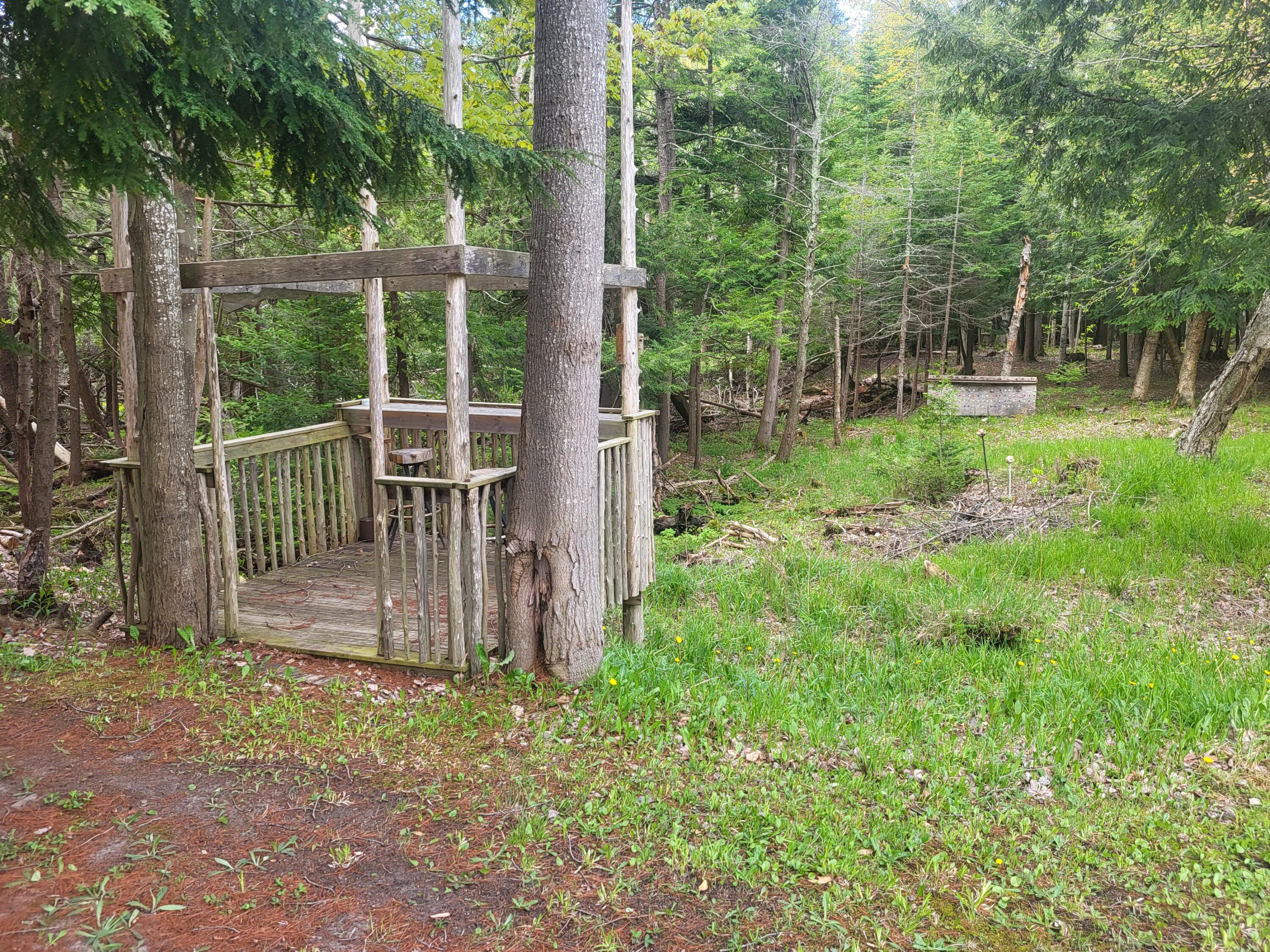 5450 Swamp Road Frankfort, MI 49635 - Photo 36 of 68 20240512_103458