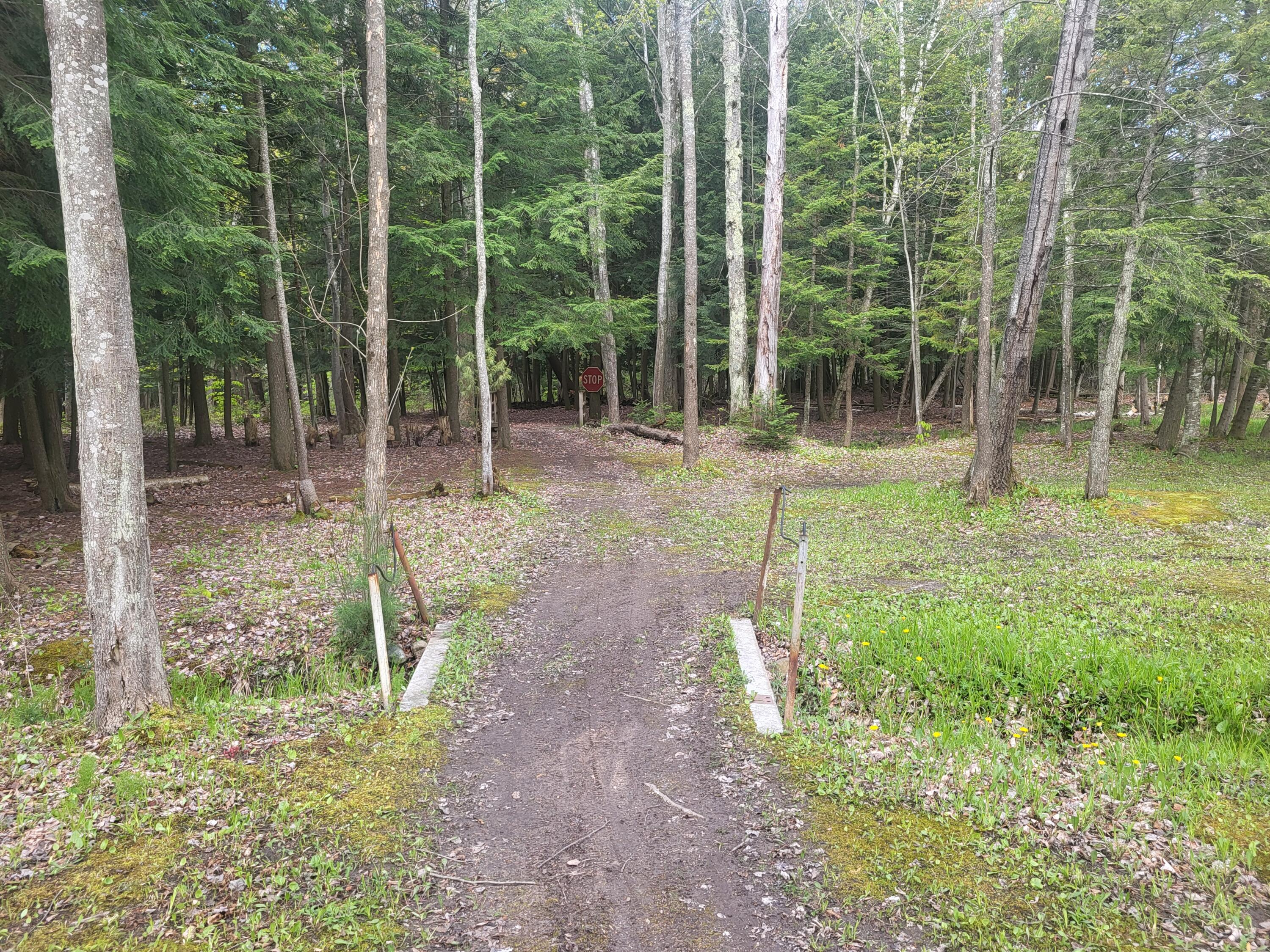 5450 Swamp Road Frankfort, MI 49635 - Photo 38 of 68 20240512_103516