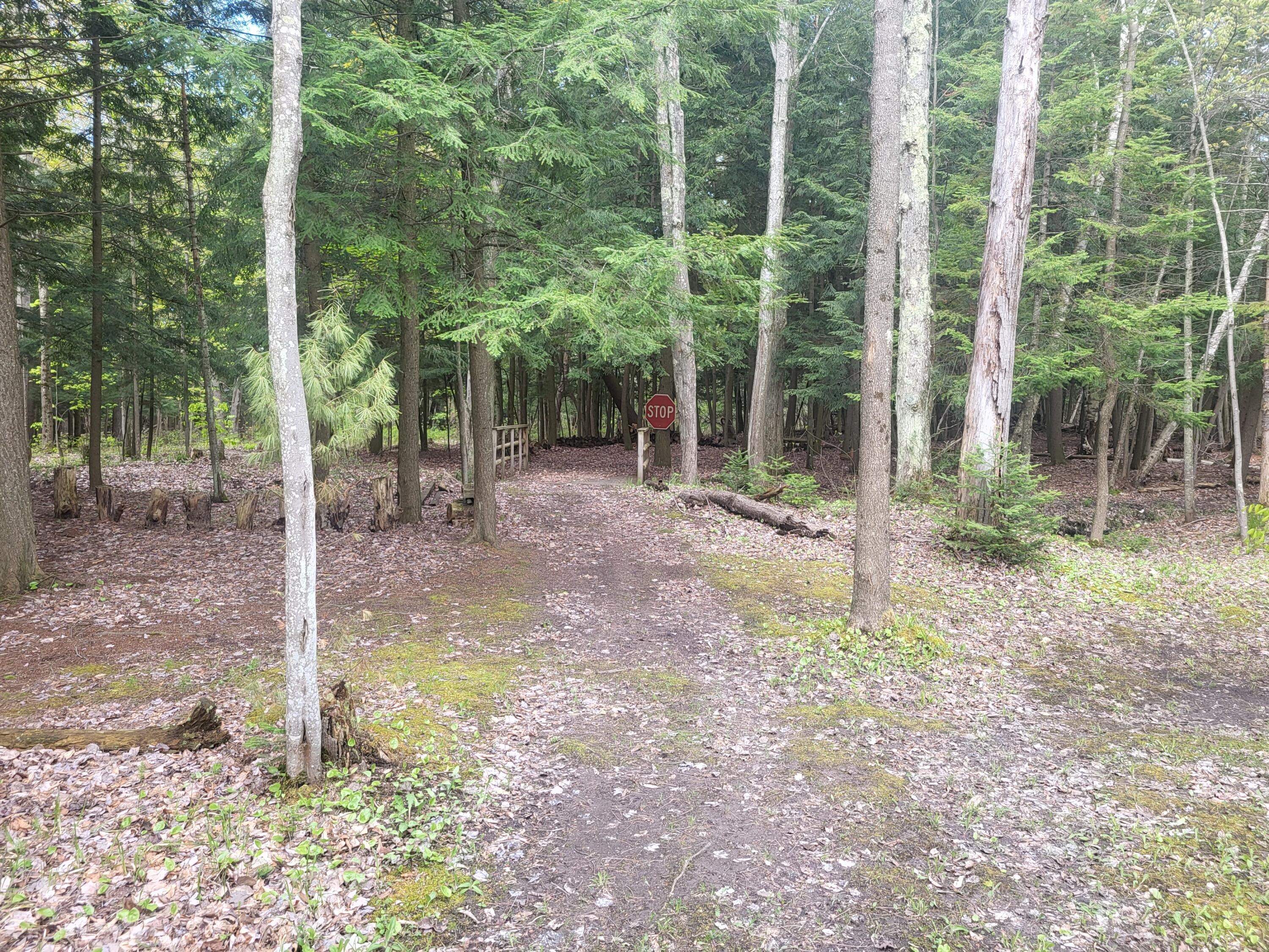 5450 Swamp Road Frankfort, MI 49635 - Photo 40 of 68 20240512_103530