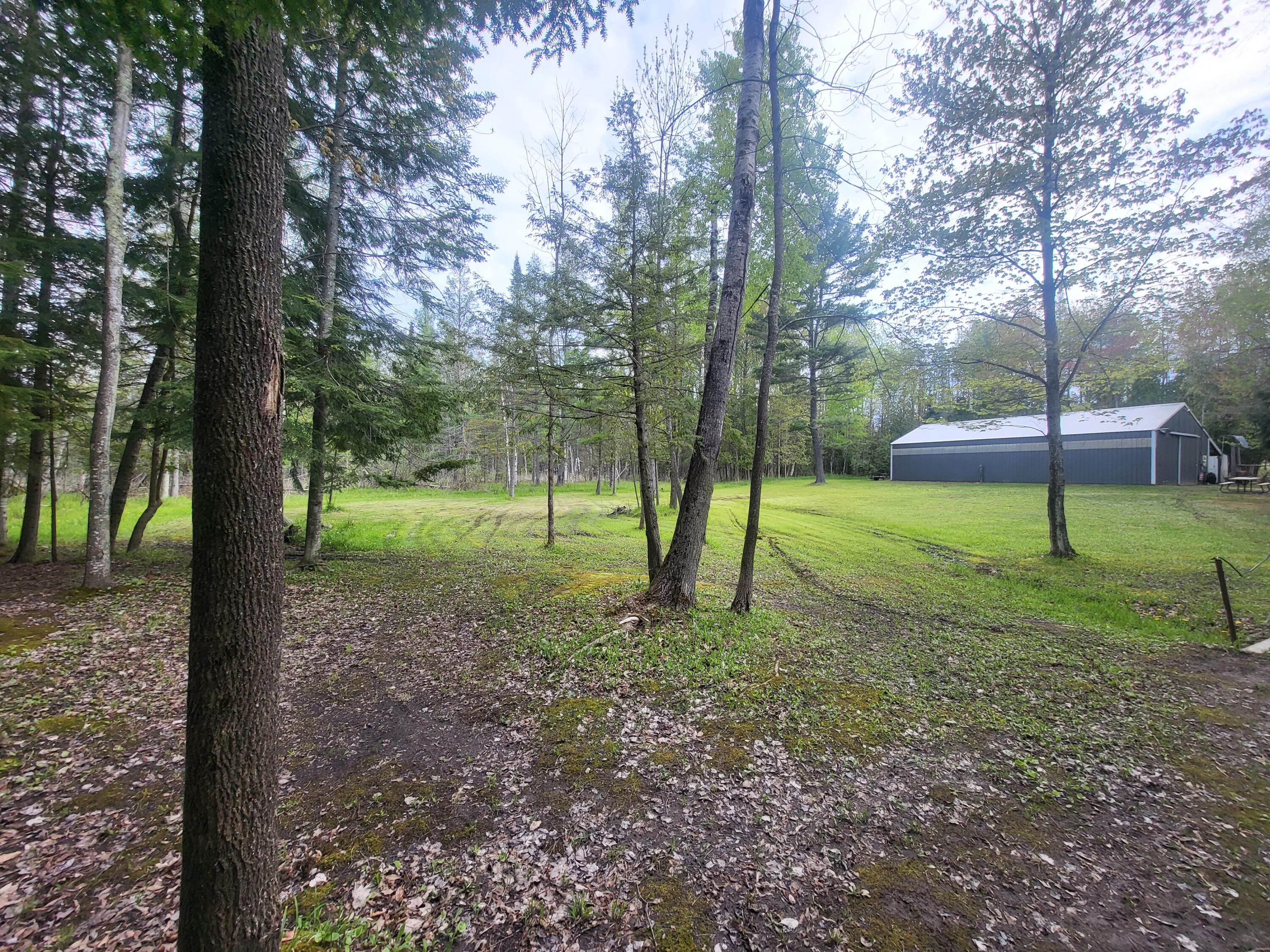 5450 Swamp Road Frankfort, MI 49635 - Photo 41 of 68 20240512_103542