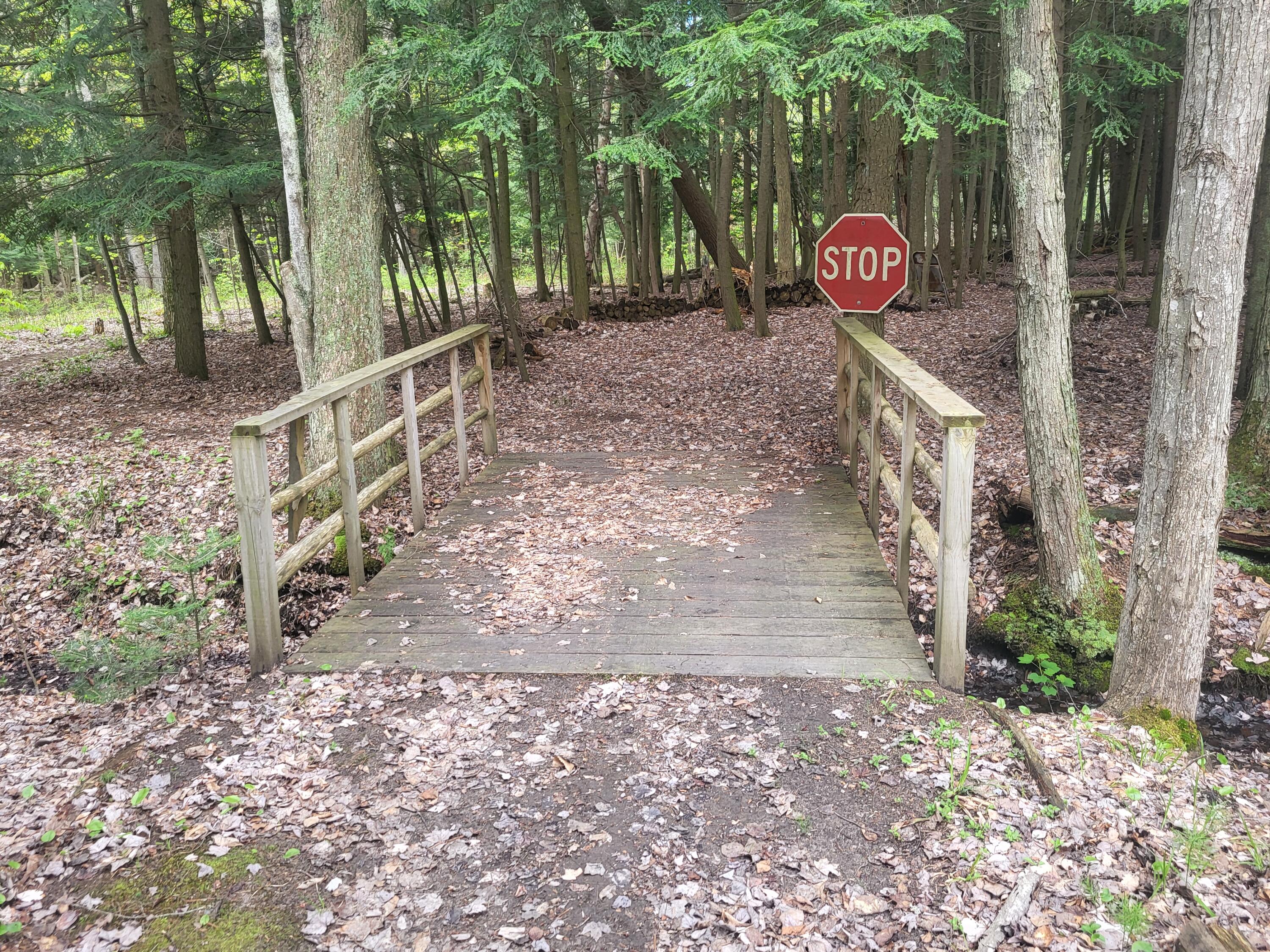 5450 Swamp Road Frankfort, MI 49635 - Photo 42 of 68 20240512_103552