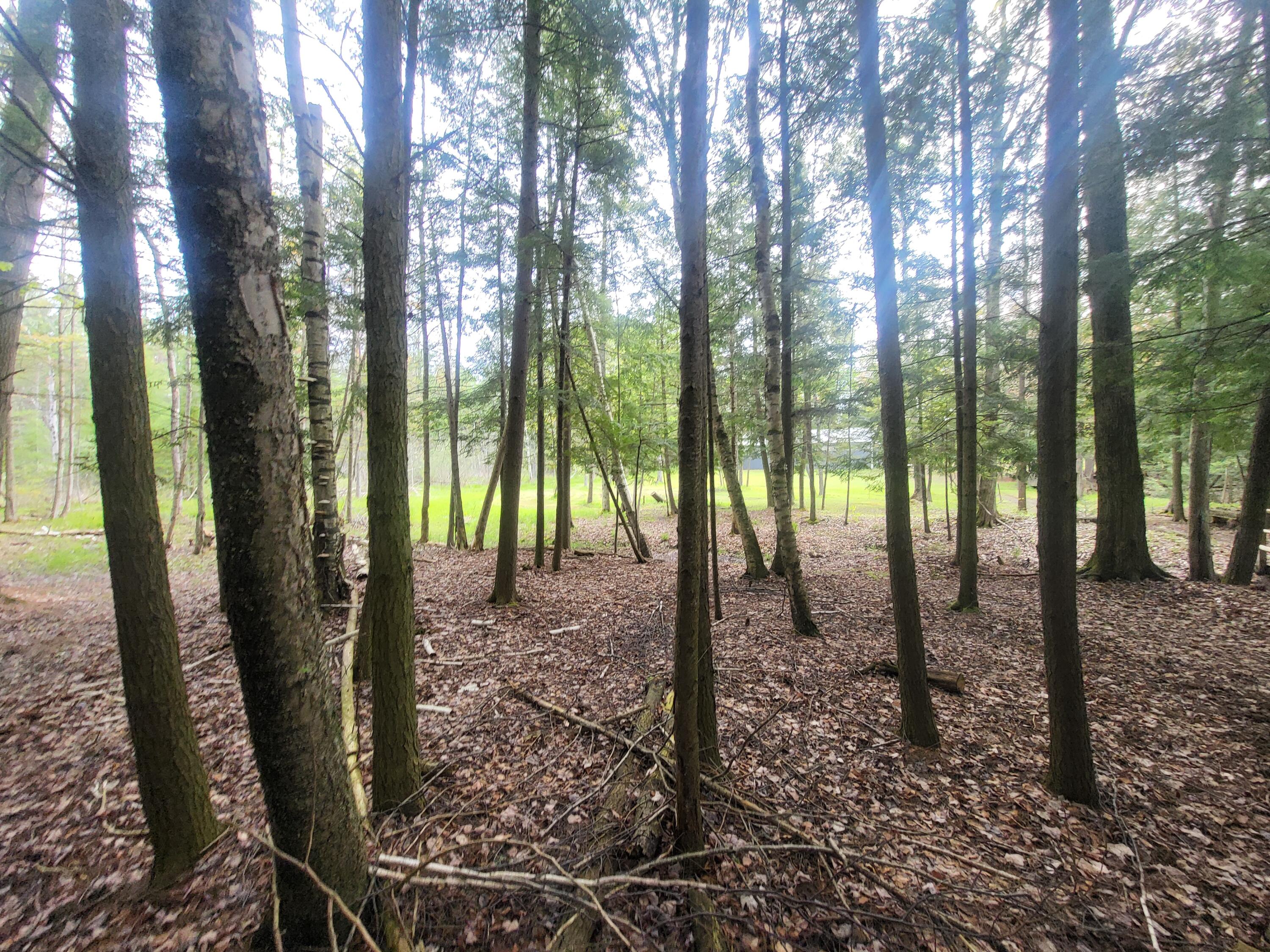 5450 Swamp Road Frankfort, MI 49635 - Photo 47 of 68 20240512_103627