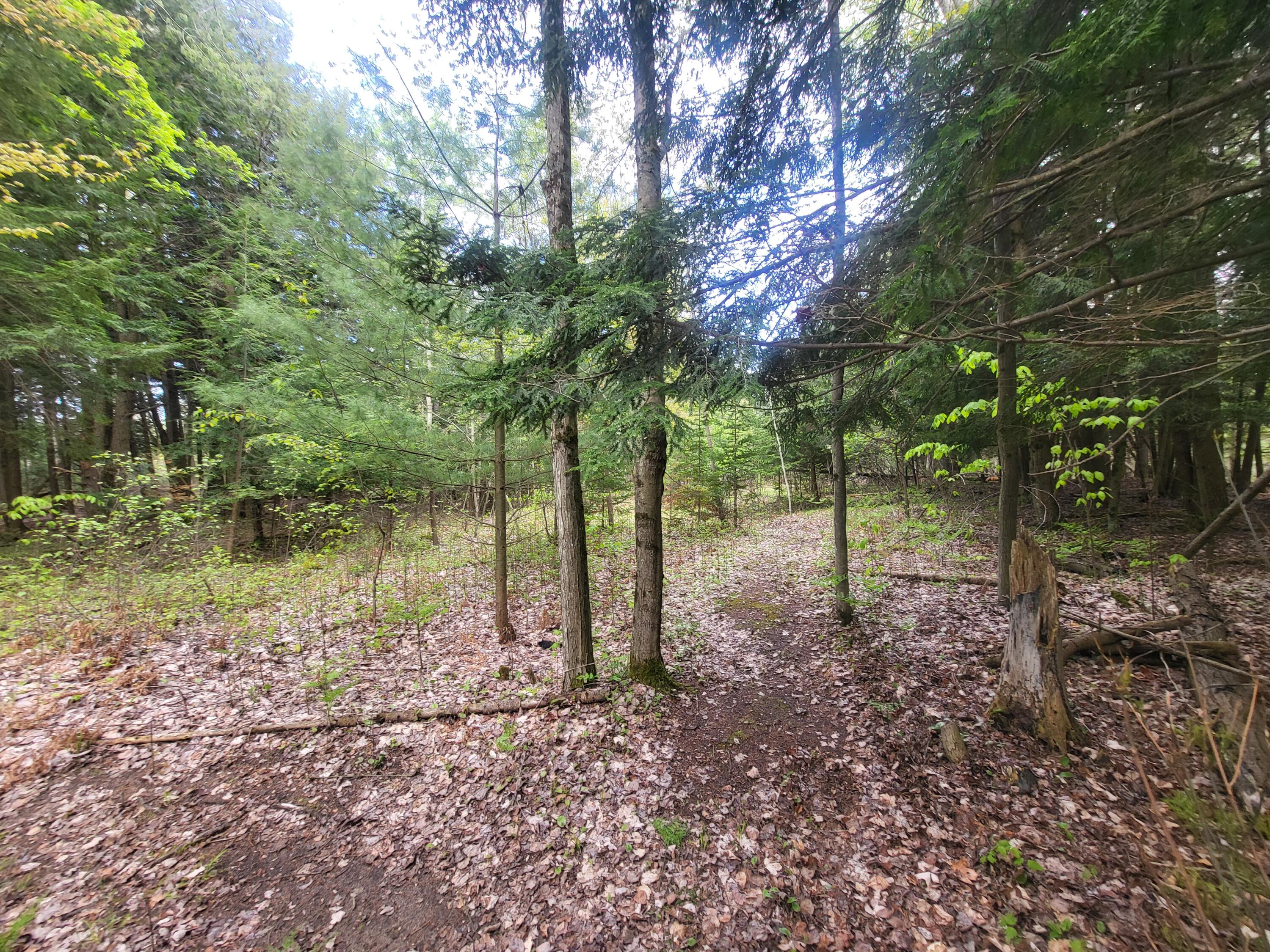 5450 Swamp Road Frankfort, MI 49635 - Photo 49 of 68 20240512_103651