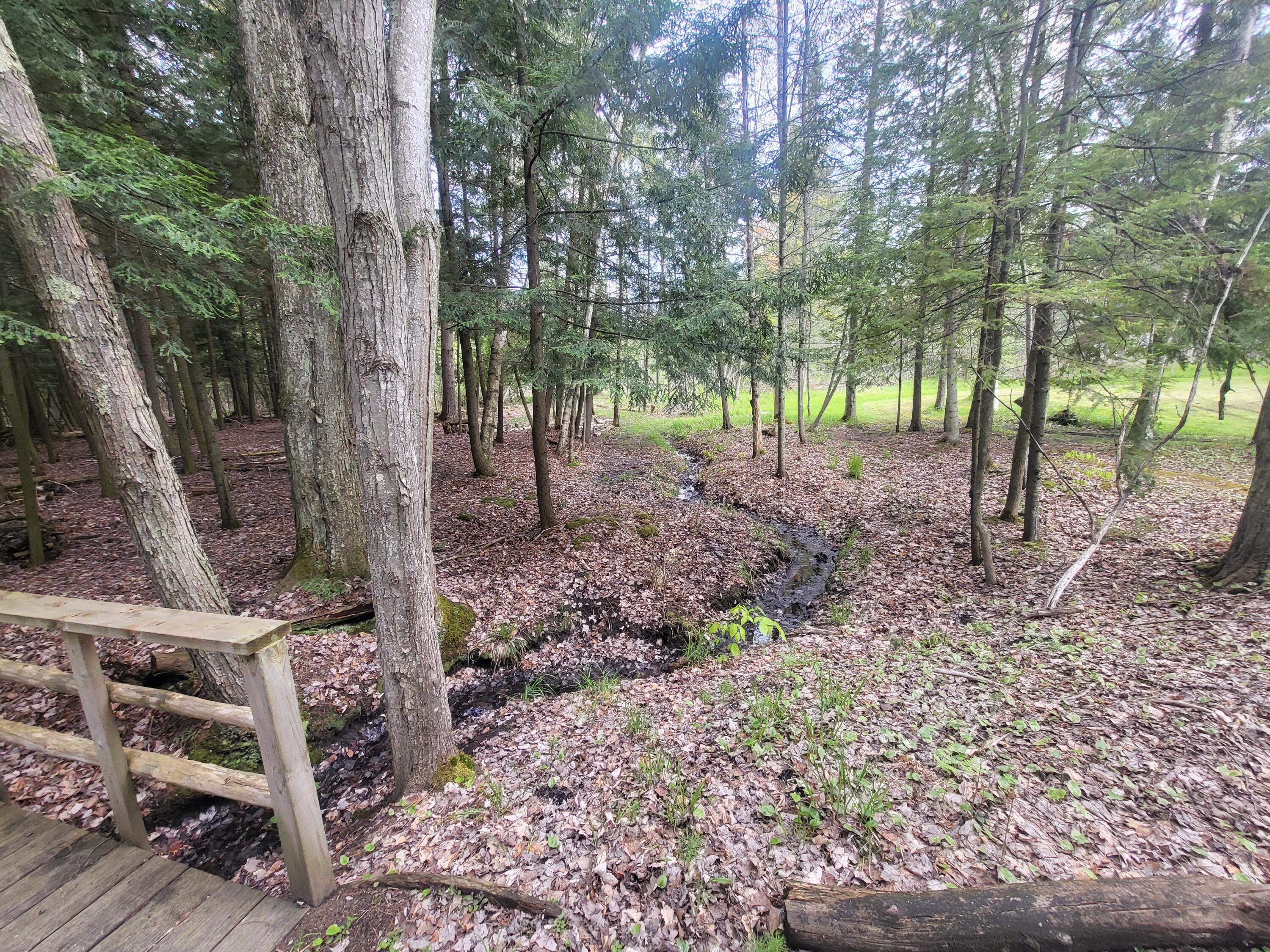 5450 Swamp Road Frankfort, MI 49635 - Photo 50 of 68 20240512_103721