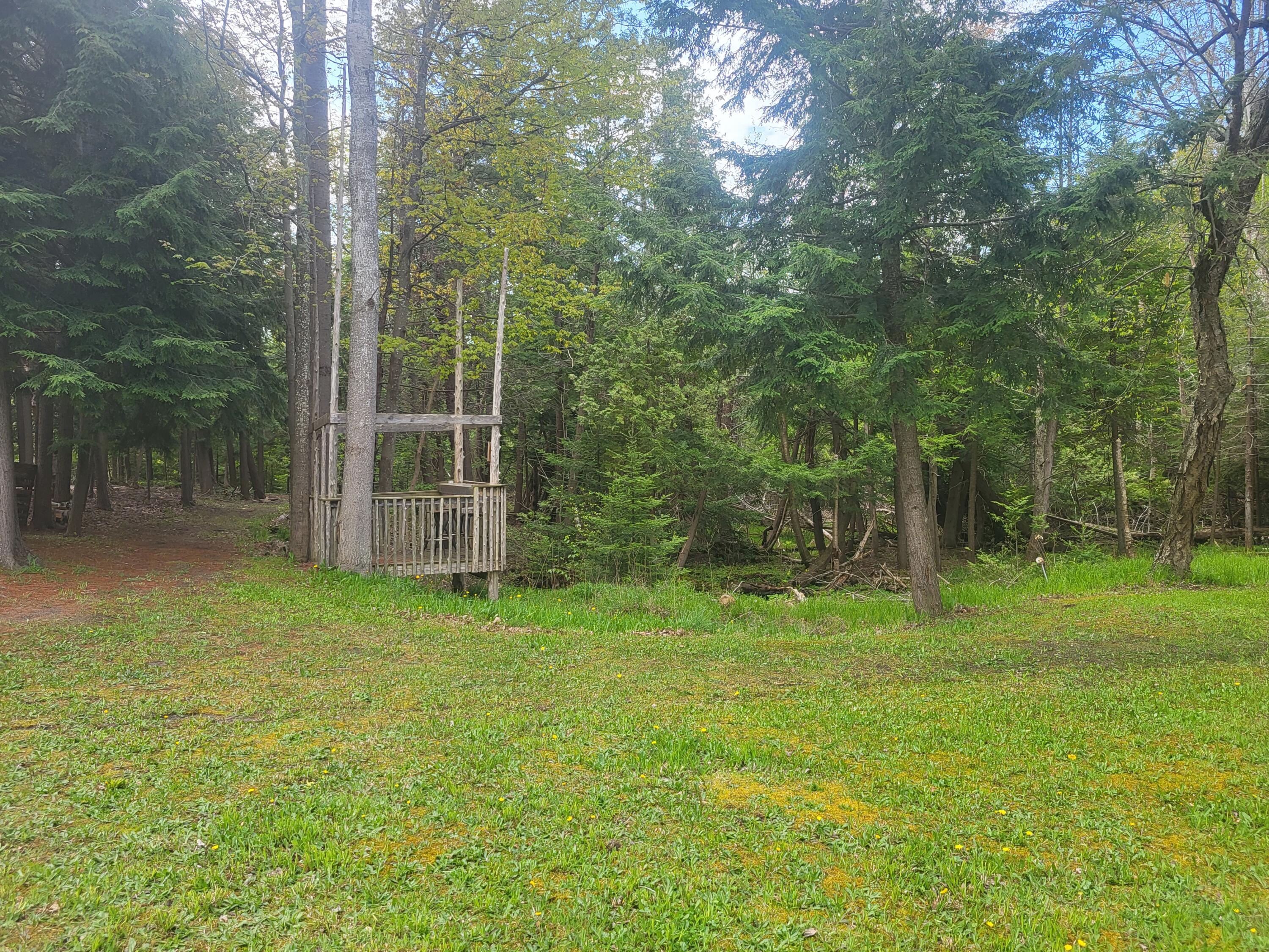 5450 Swamp Road Frankfort, MI 49635 - Photo 54 of 68 20240512_103811
