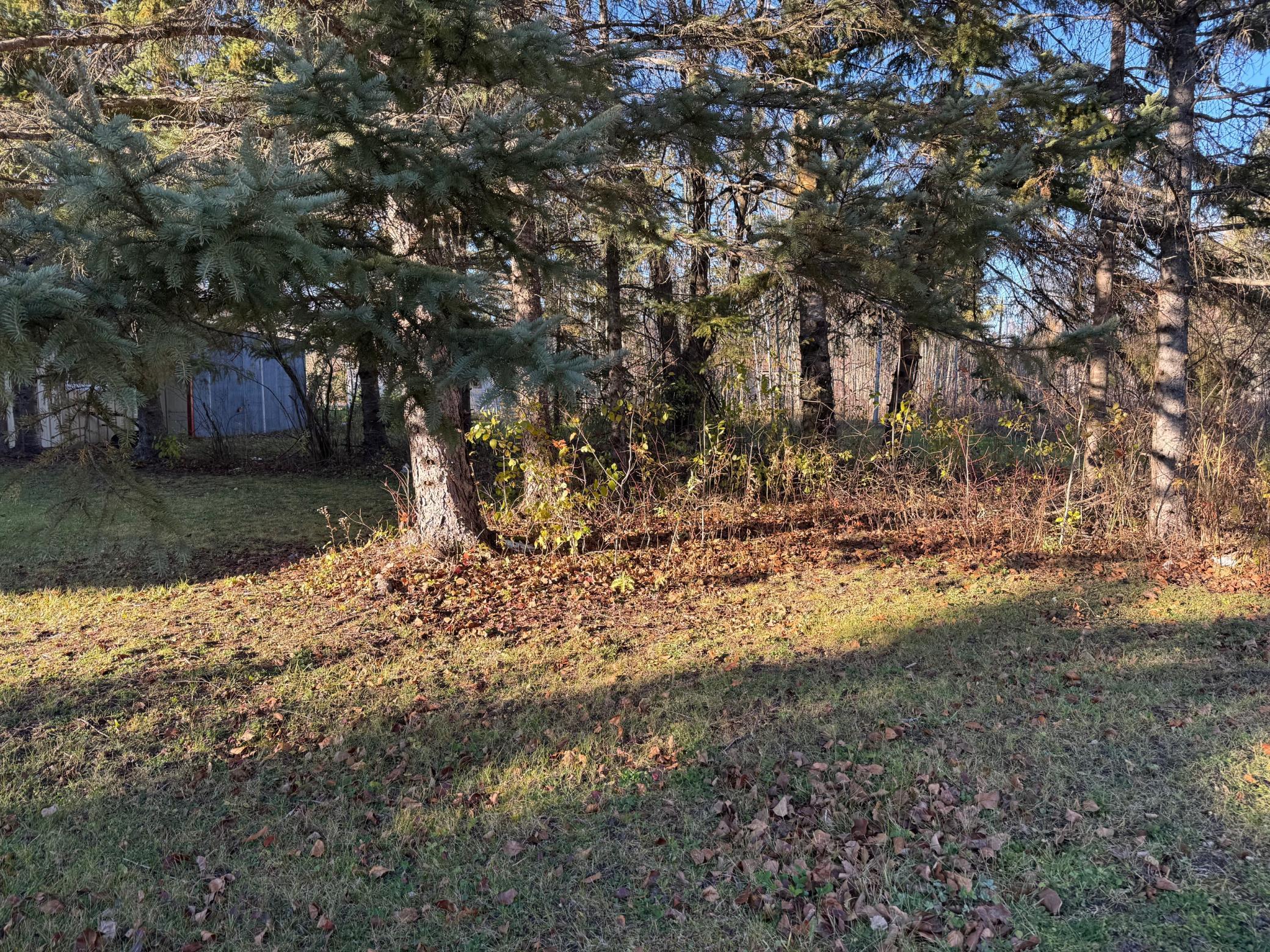 270 Zippel Avenue Williams, MN 56686 - Photo 20 of 22