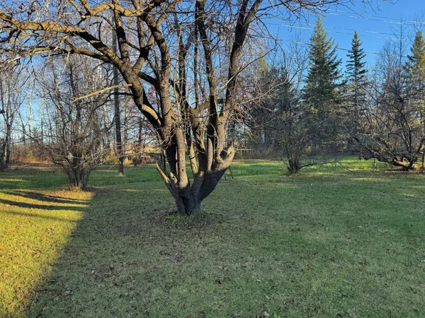 $179,900 | 270 Zippel Avenue, Williams, MN 56686