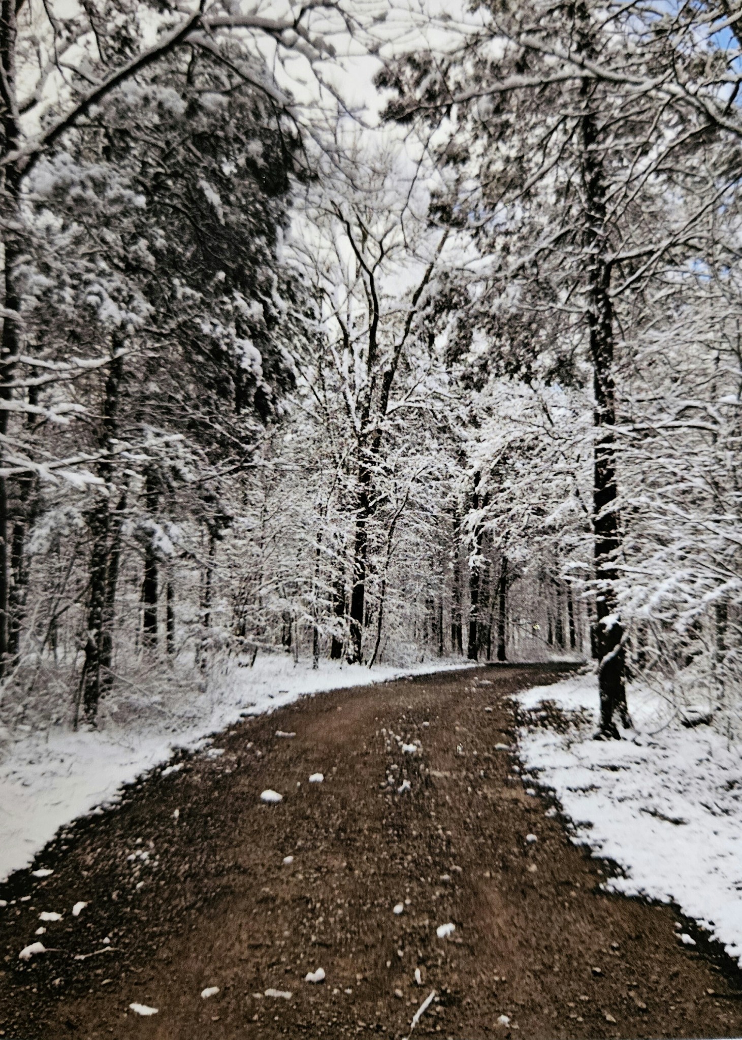 4605 Pyles Road Chapel Hill, TN 37034 - Photo 24 of 28 a view of building
