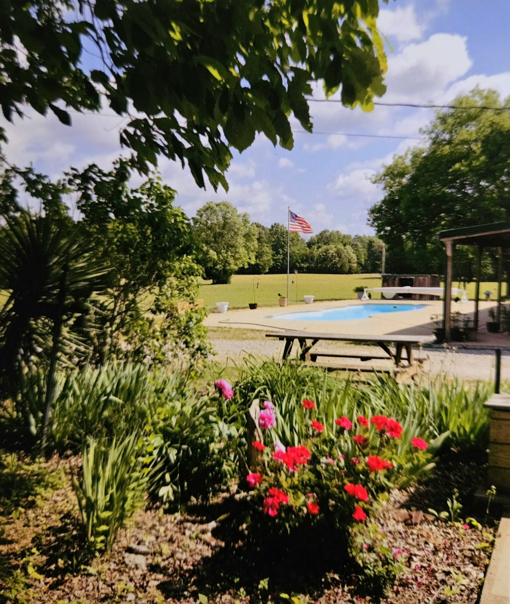 4605 Pyles Road Chapel Hill, TN 37034 - Photo 27 of 28 a view of a swimming pool with a bench in a garden