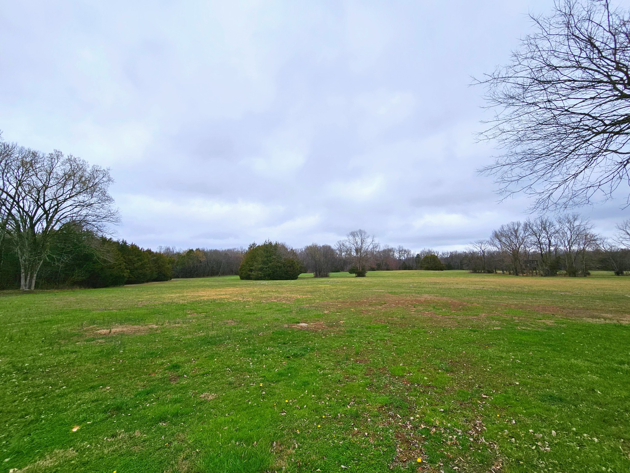 4605 Pyles Road Chapel Hill, TN 37034 - Photo 9 of 28 a view of an ocean and a mountain