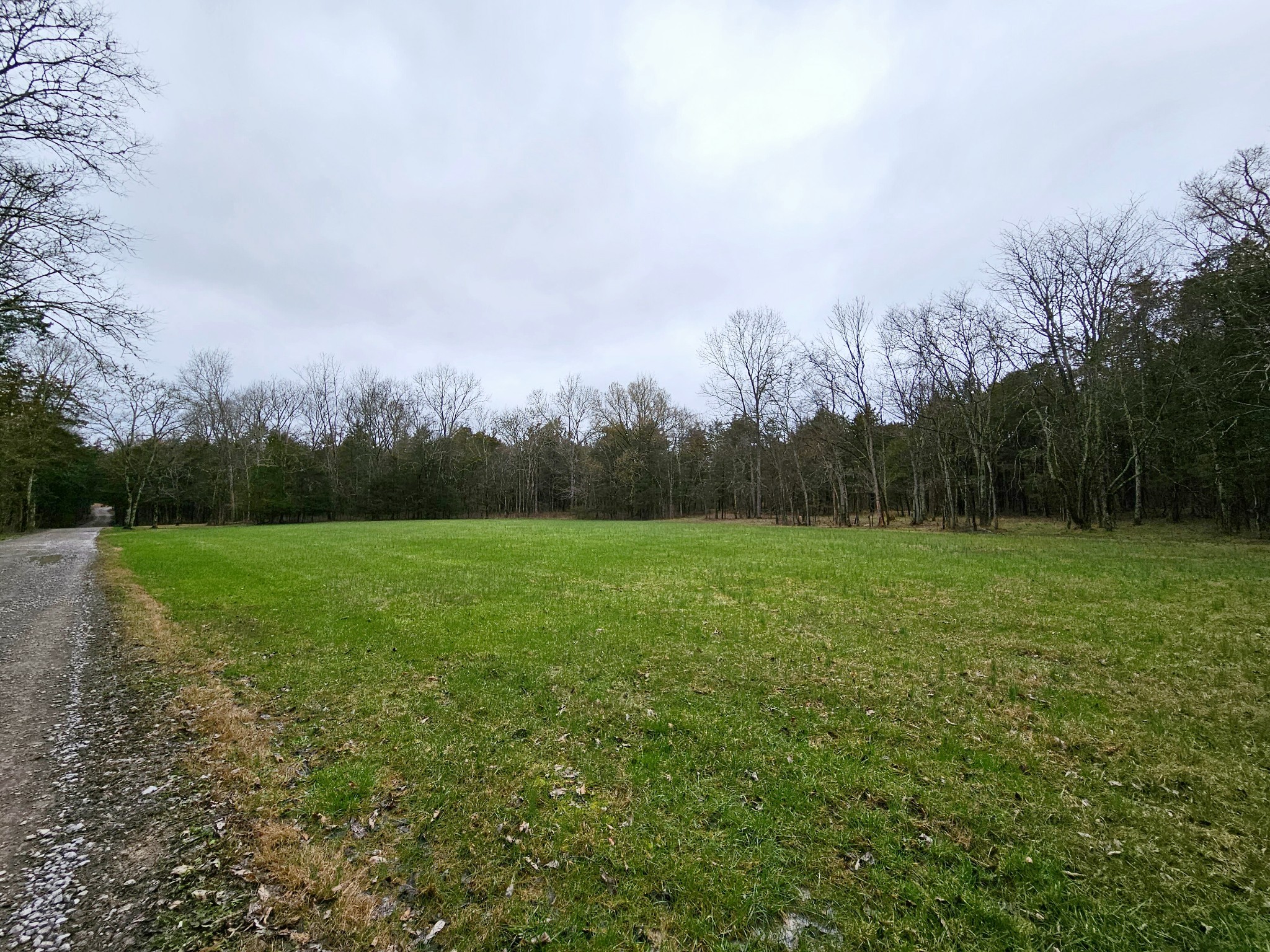 4605 Pyles Road Chapel Hill, TN 37034 - Photo 10 of 28 a view of field with trees in the background