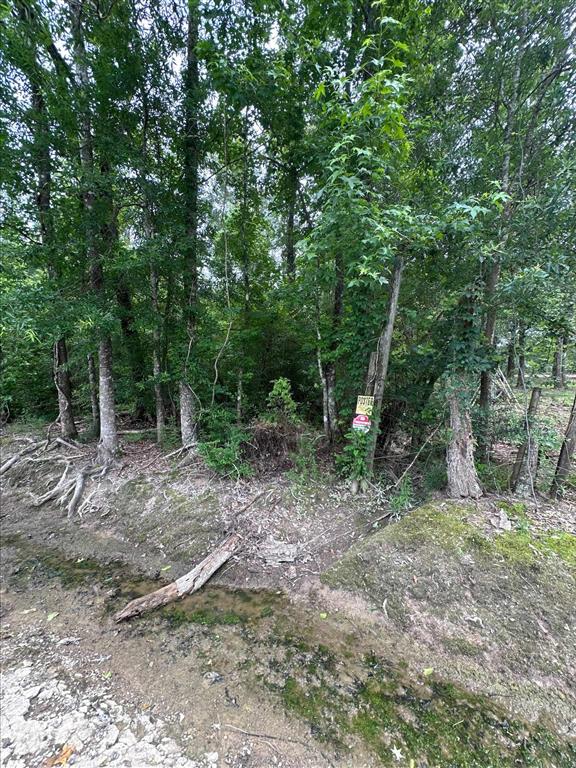 Angus Drive Ragley, LA 70657 - Photo 3 of 7