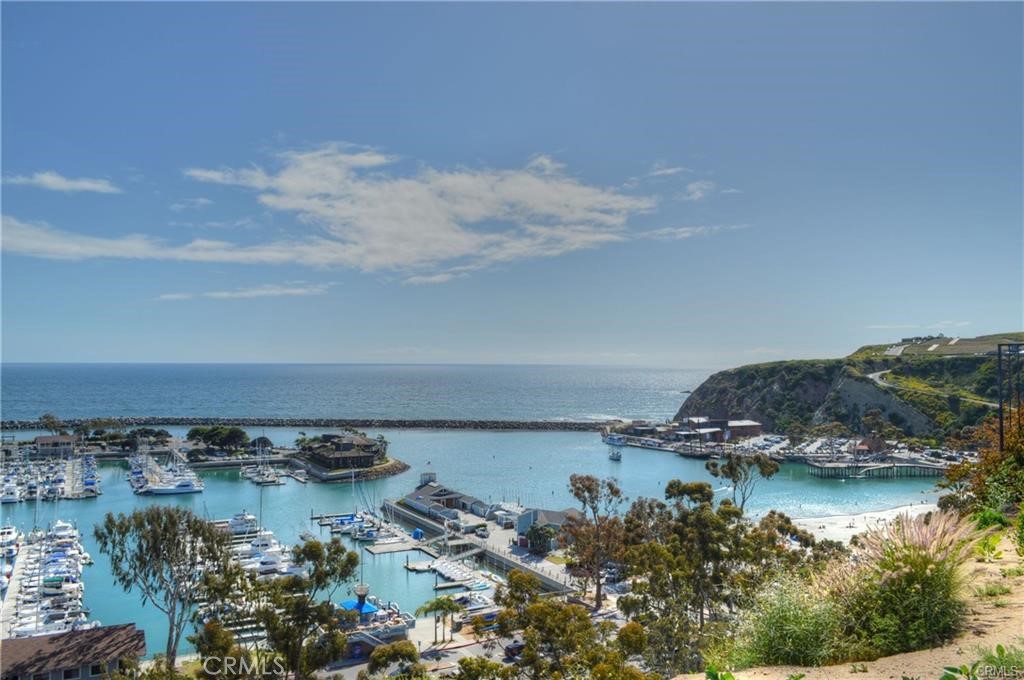 34036 Selva Road, Unit 108 Dana Point, CA 92629 - Photo 40 of 50 Dana Point Harbor a short distance from unit