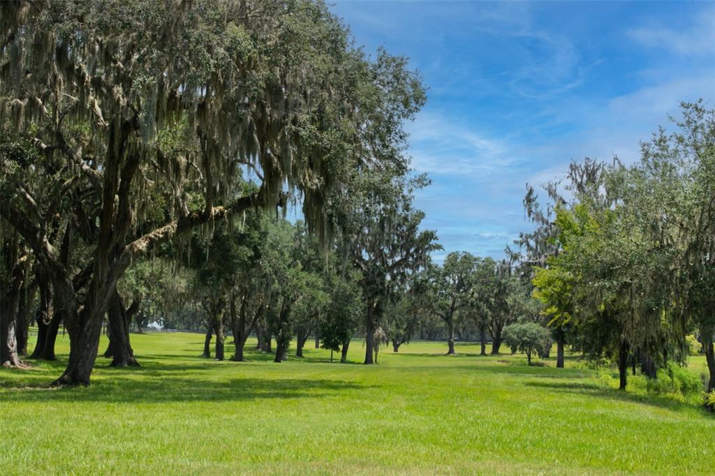 5540 Southeast 157th Street Road Summerfield, FL 34491 - Photo 15 of 26