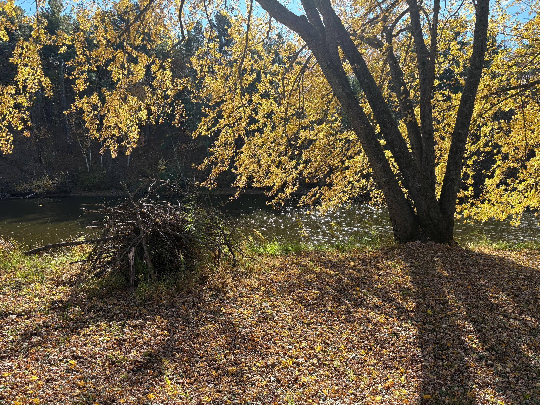 28104 Wilderness Road Pine City, MN 55063 - Photo 15 of 29