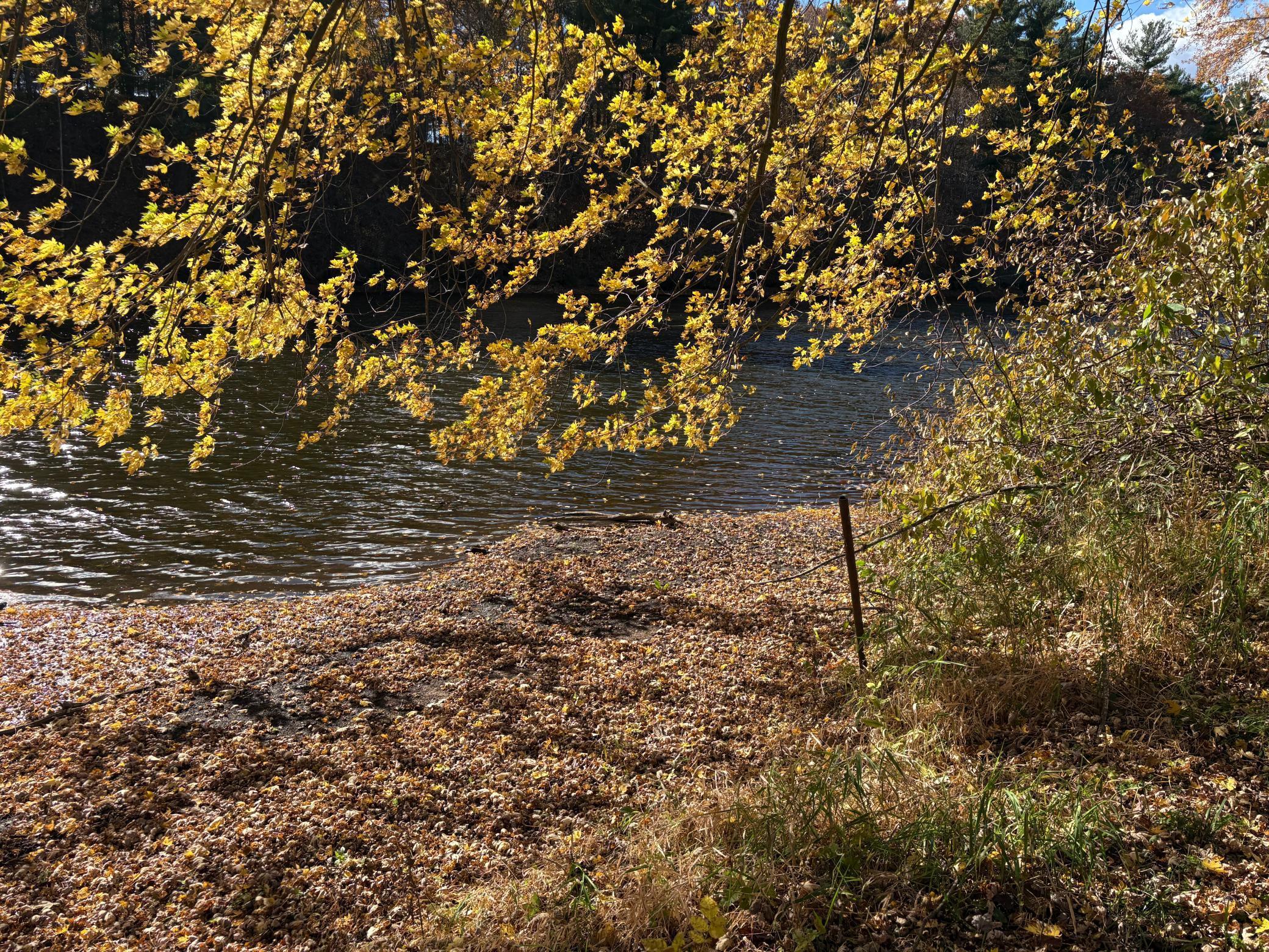 28104 Wilderness Road Pine City, MN 55063 - Photo 16 of 29