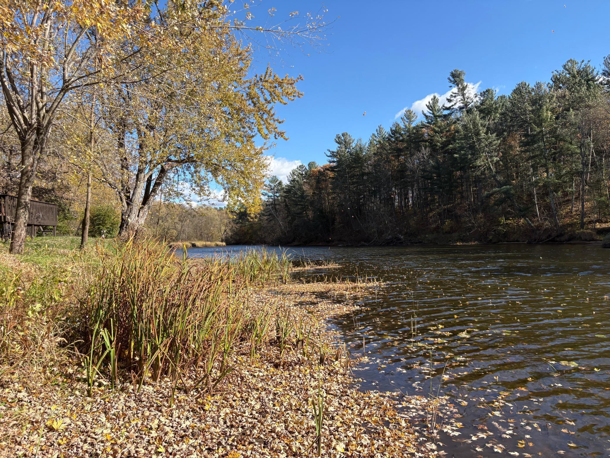 28104 Wilderness Road Pine City, MN 55063 - Photo 19 of 29