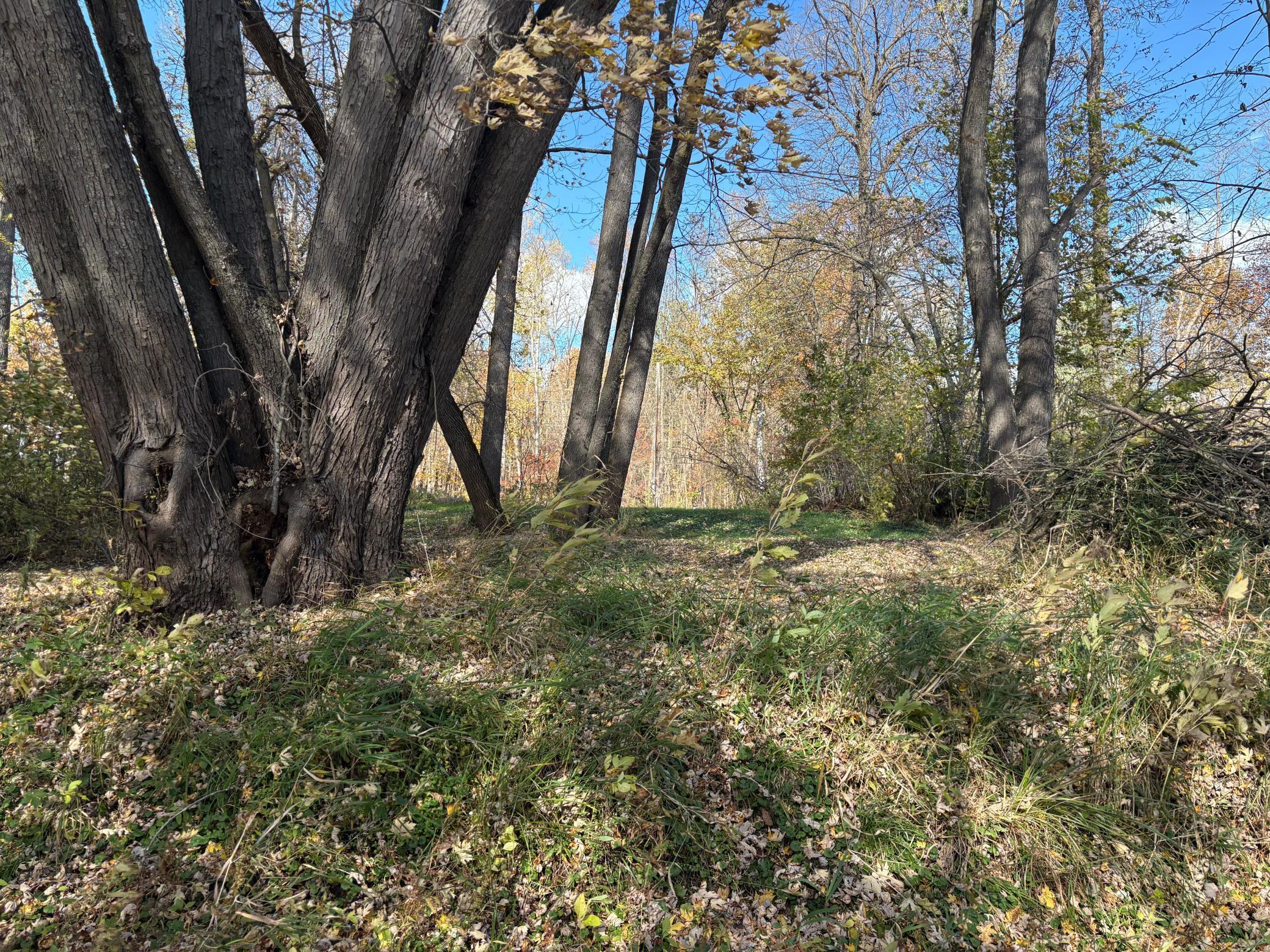 28104 Wilderness Road Pine City, MN 55063 - Photo 21 of 29