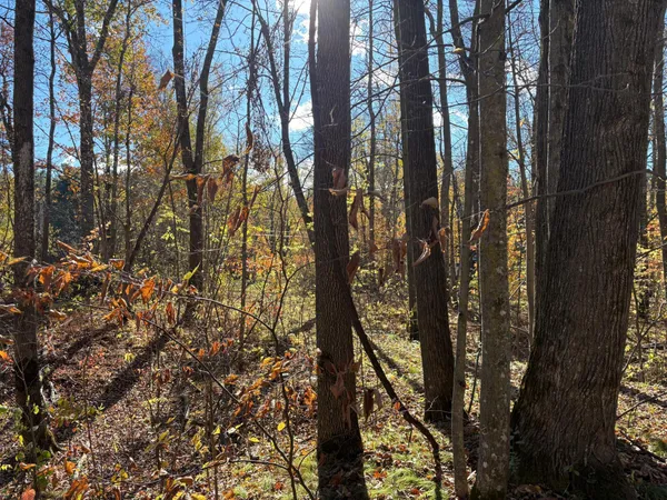 $79,900 | 28104 Wilderness Road, Pine City, MN 55063