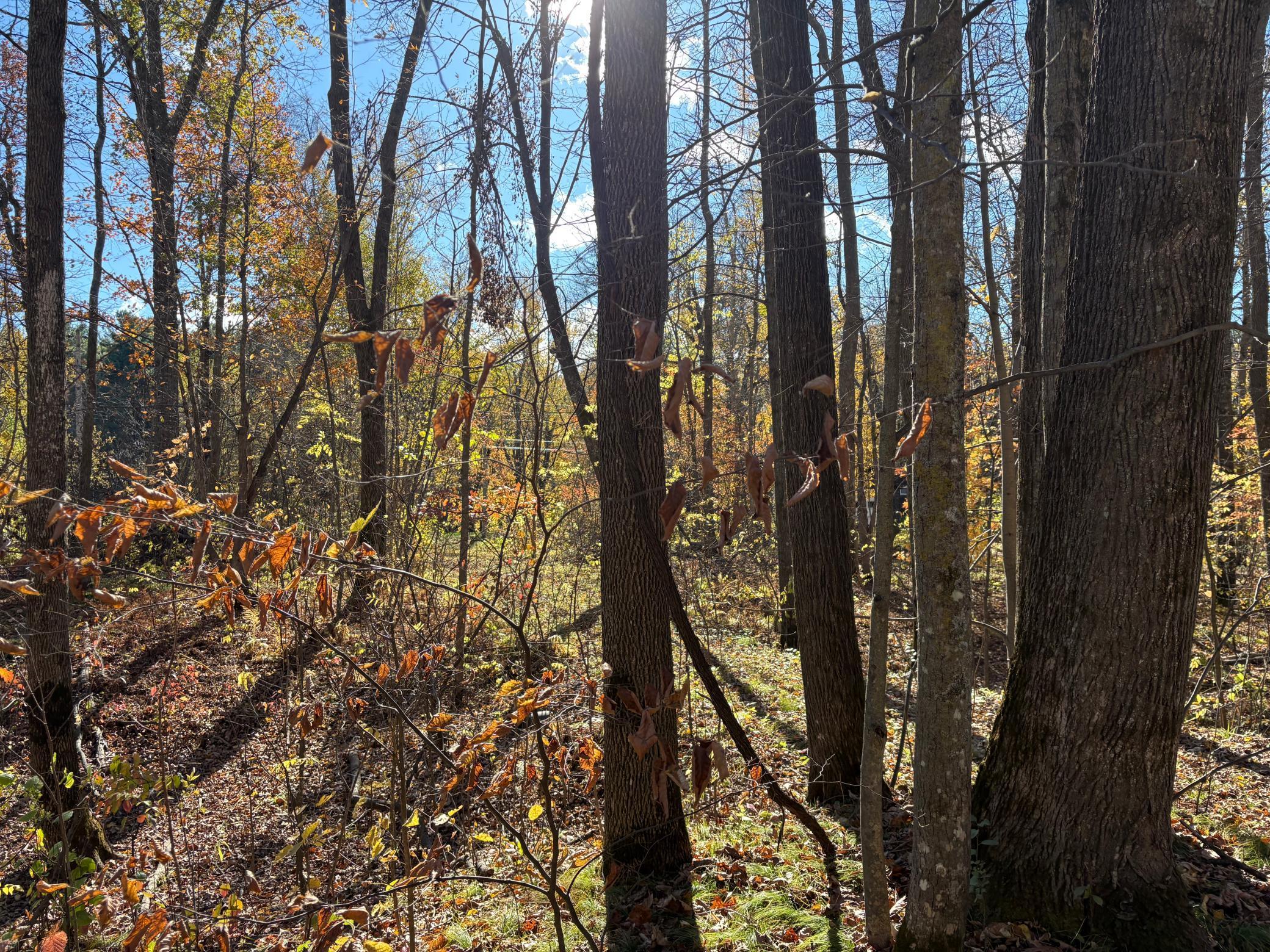 28104 Wilderness Road Pine City, MN 55063 - Photo 22 of 29