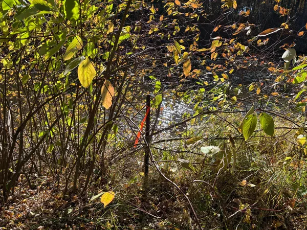 $79,900 | 28104 Wilderness Road, Pine City, MN 55063