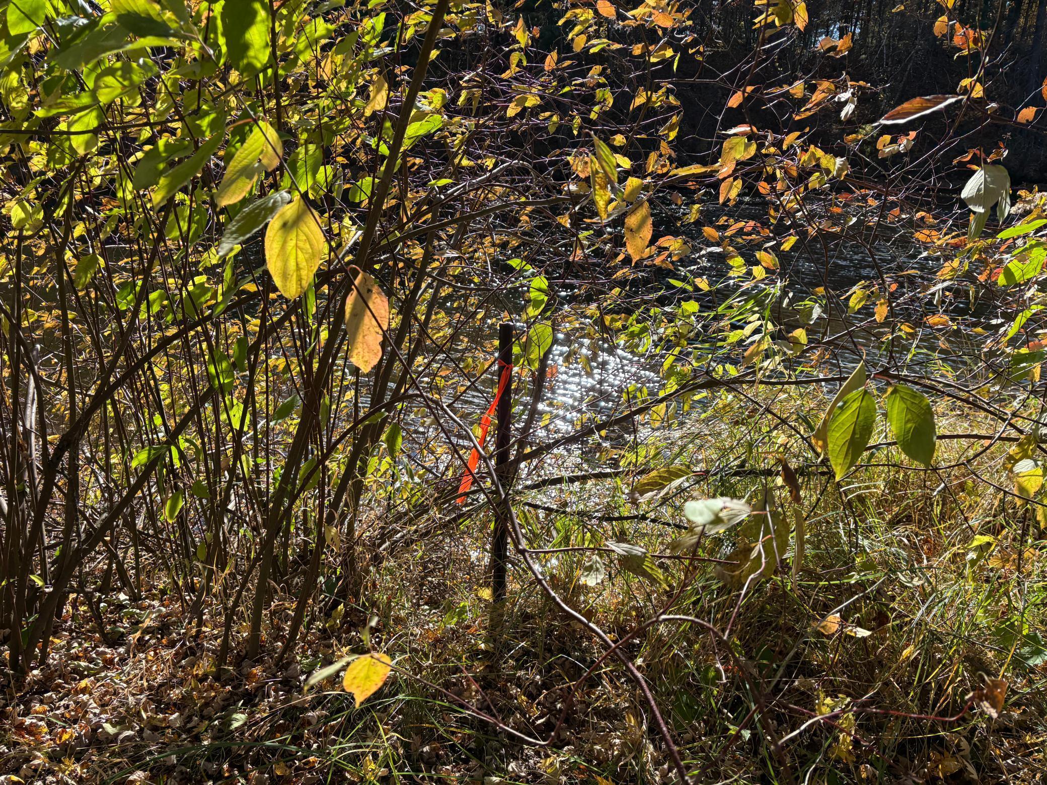 28104 Wilderness Road Pine City, MN 55063 - Photo 25 of 29