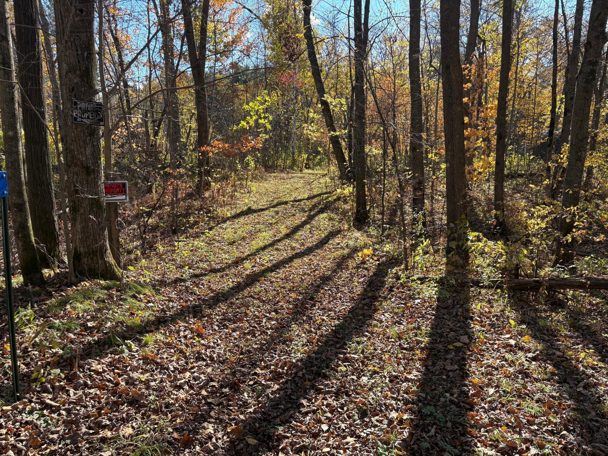 28104 Wilderness Road Pine City, MN 55063 - Photo 5 of 29