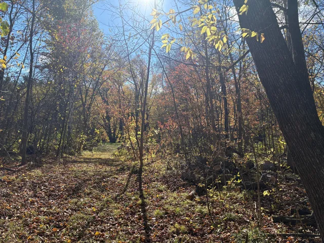 $79,900 | 28104 Wilderness Road, Pine City, MN 55063