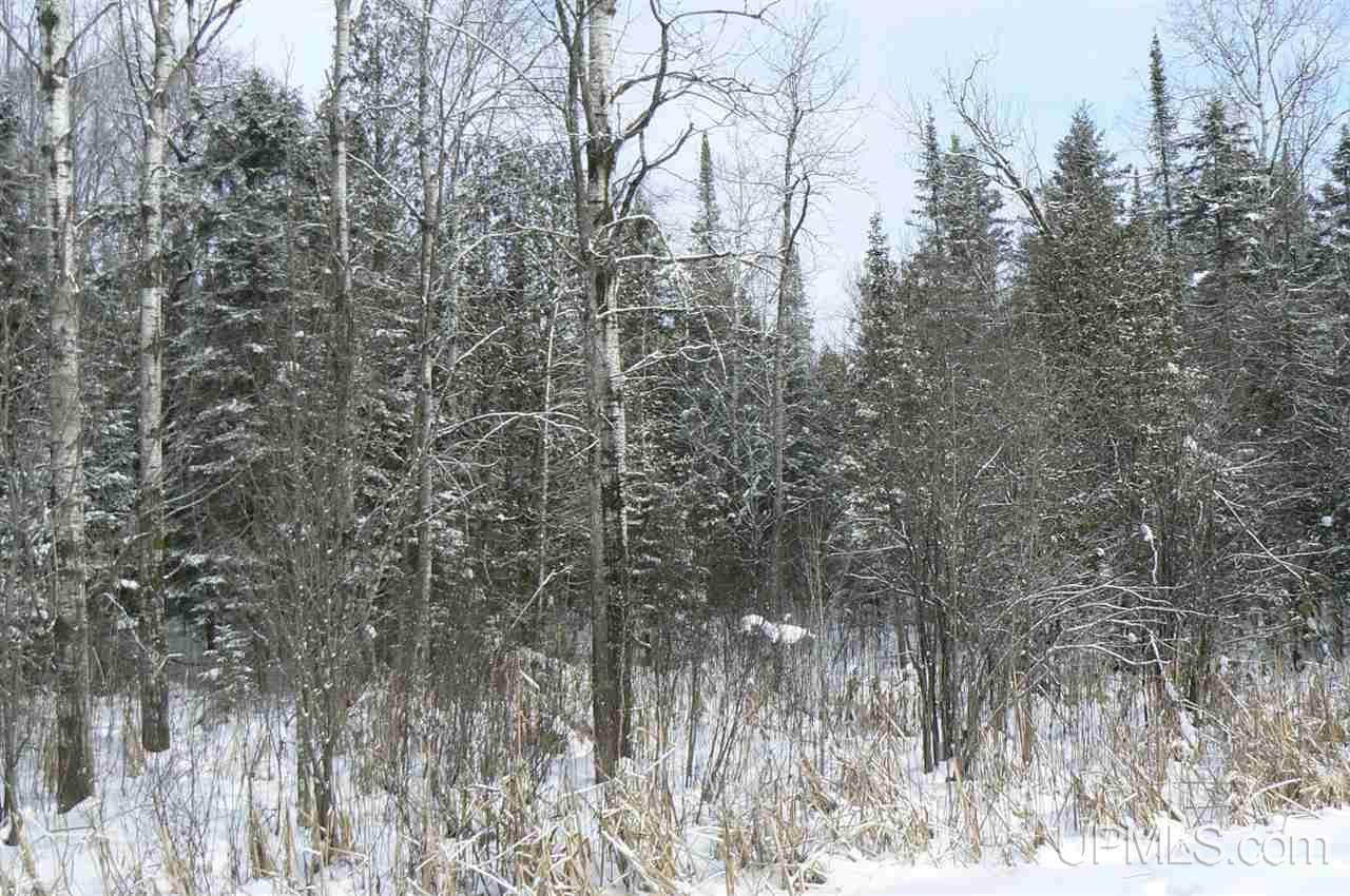 Tbd East Cold Springs Road Chatham, MI 49816 - Photo 20 of 21