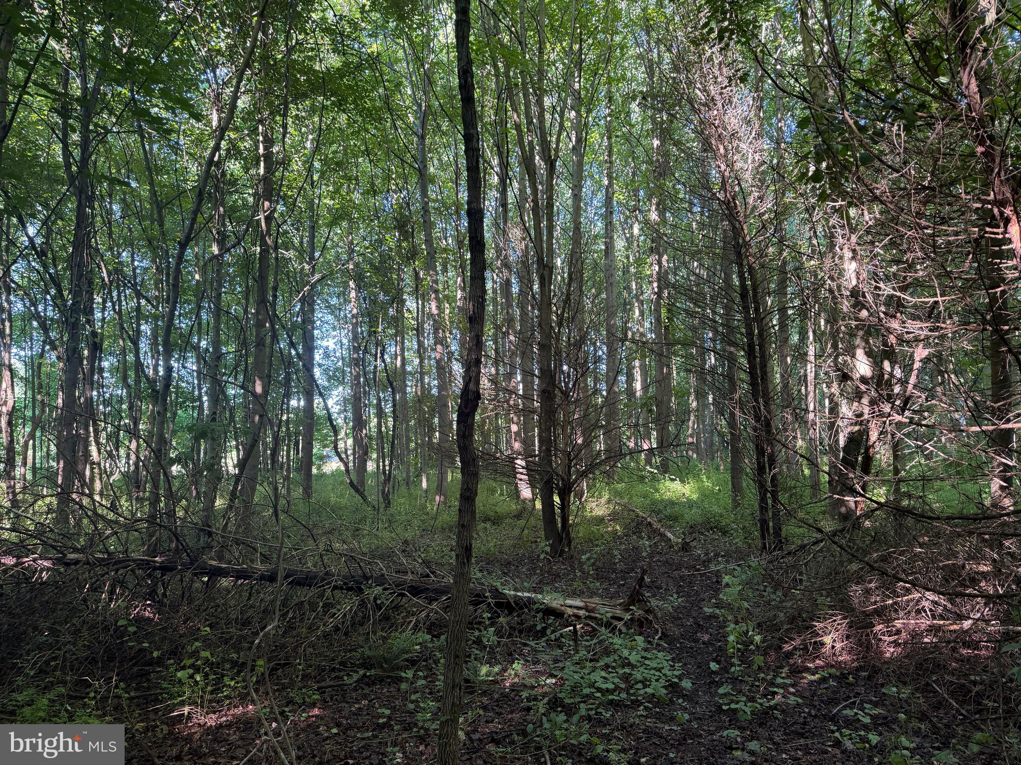 0 Rock Springs Road Conowingo, MD 21918 - Photo 4 of 79