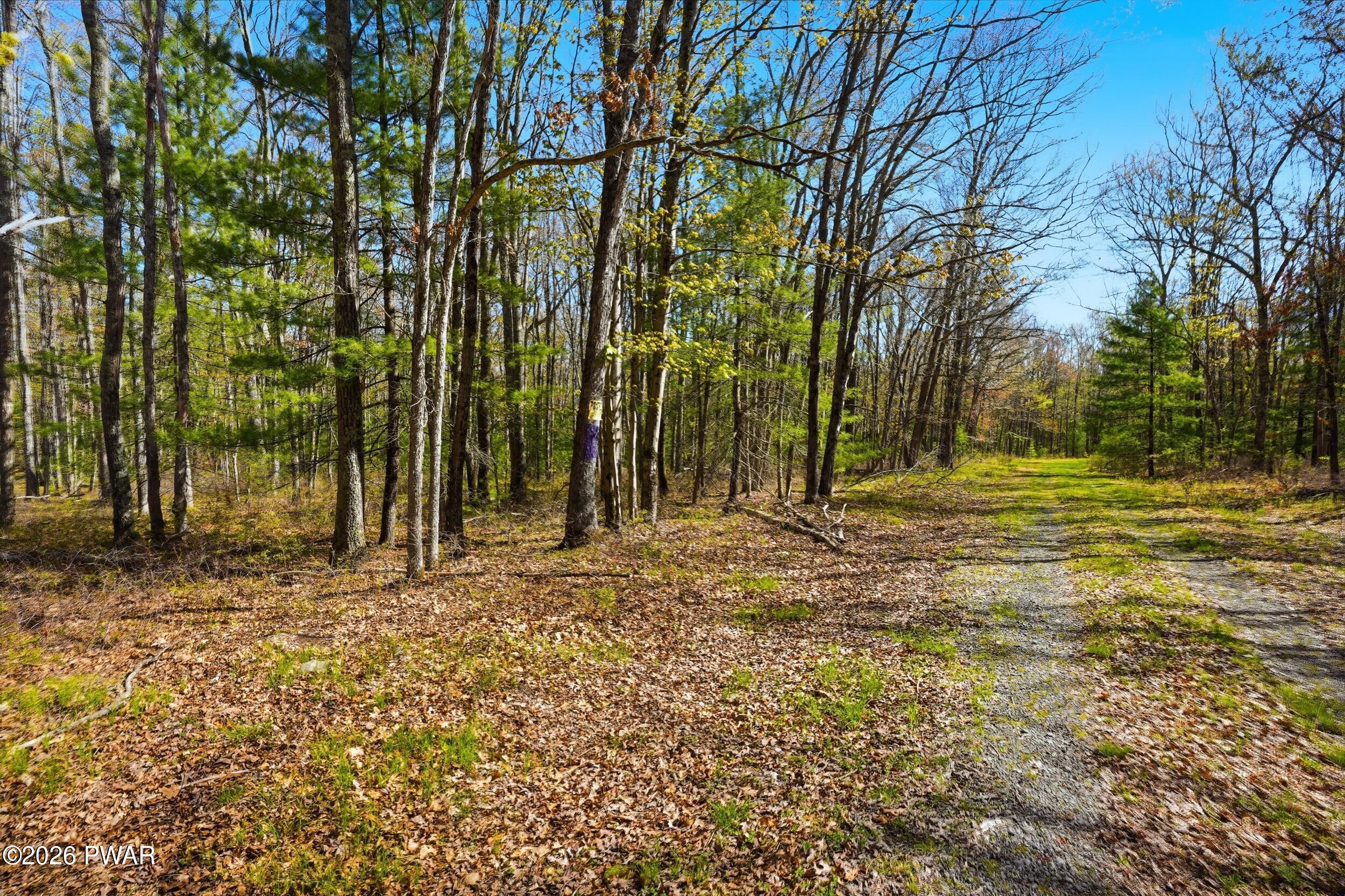 Whispering Oaks Road Greeley, PA 18425 - Photo 15 of 22