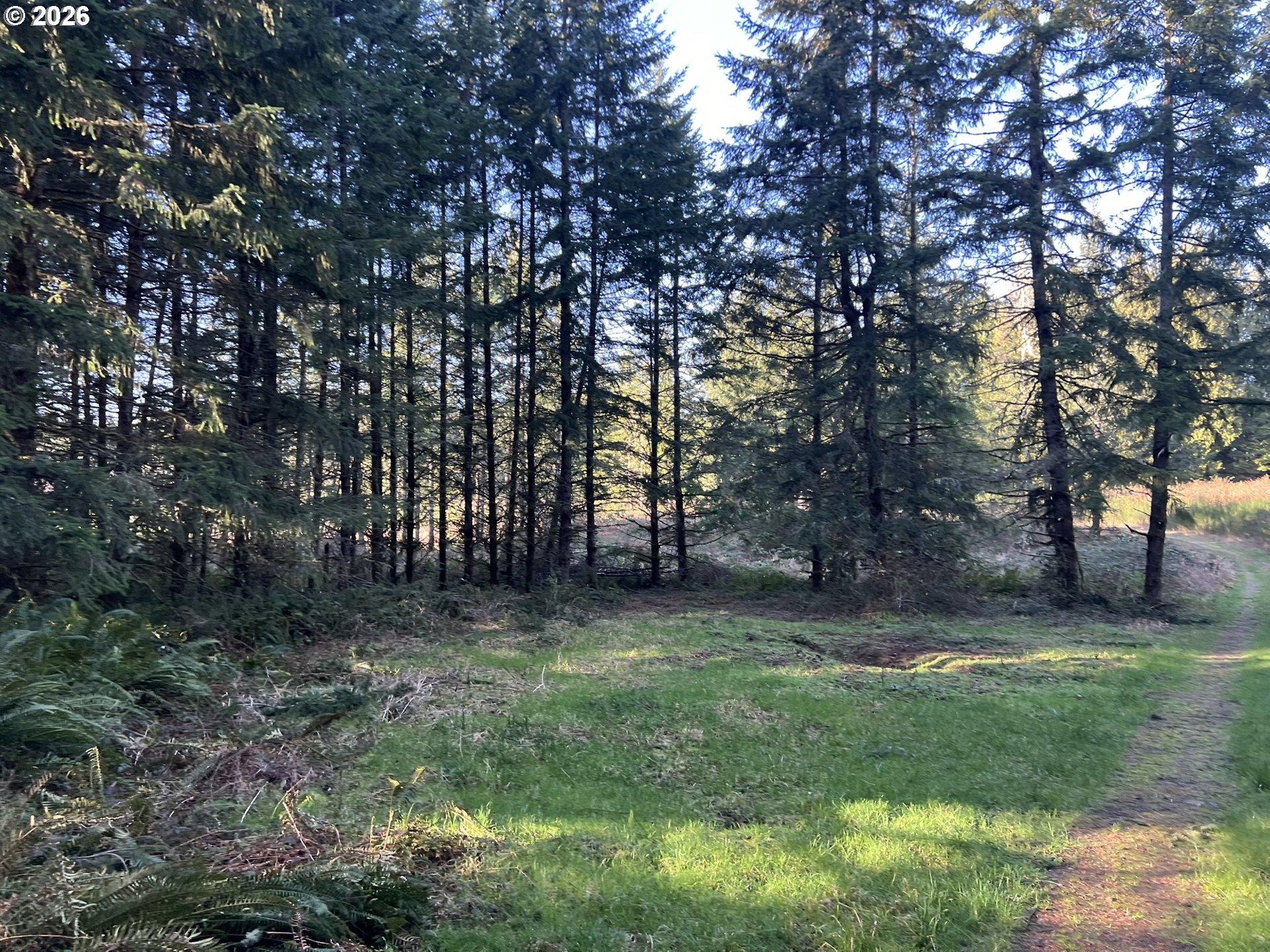 39775 Southeast Kitzmiller Road Eagle Creek, OR 97022 - Photo 12 of 15 Gallery Image 12